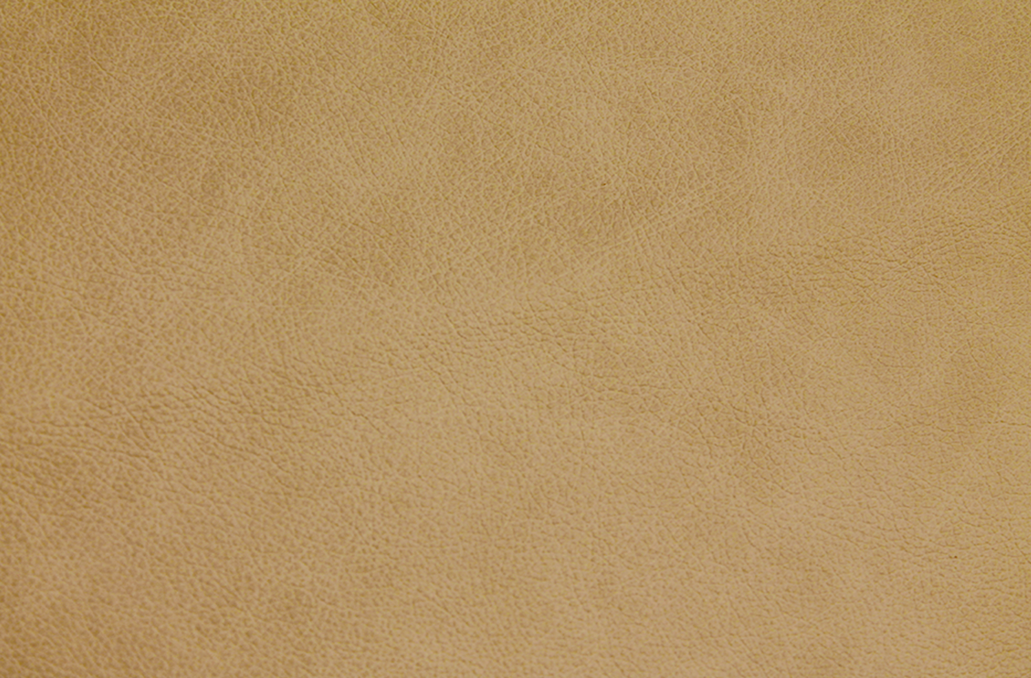 crema.png