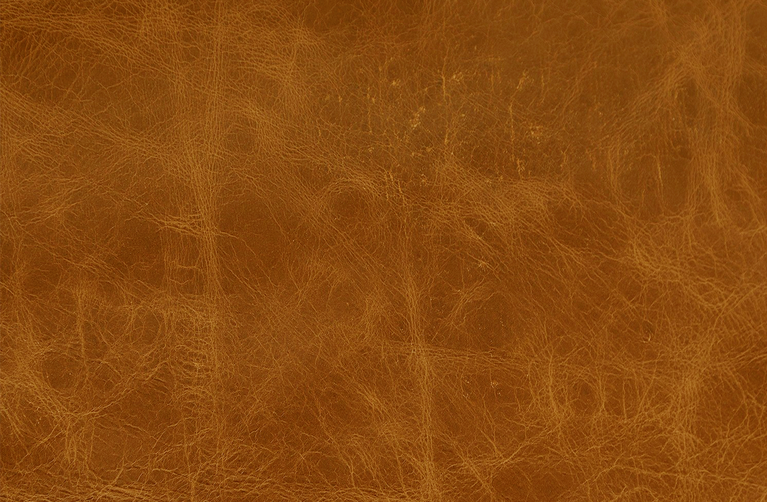 American Vintage Ocre.png