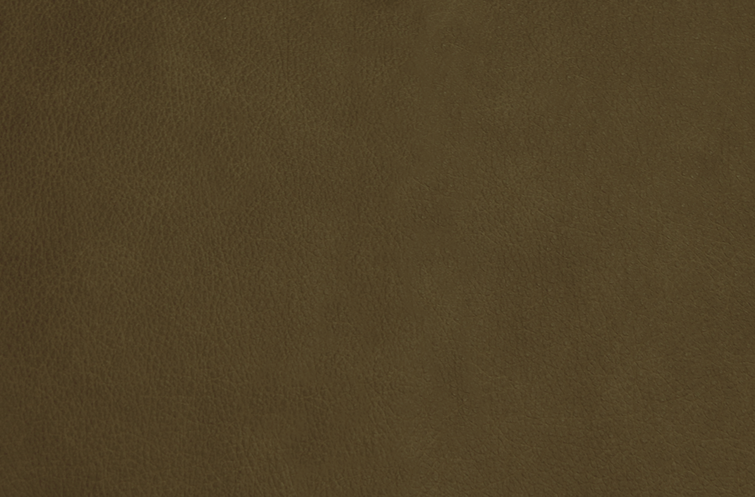 olive.png