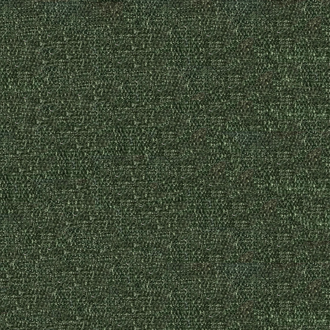 forest.png