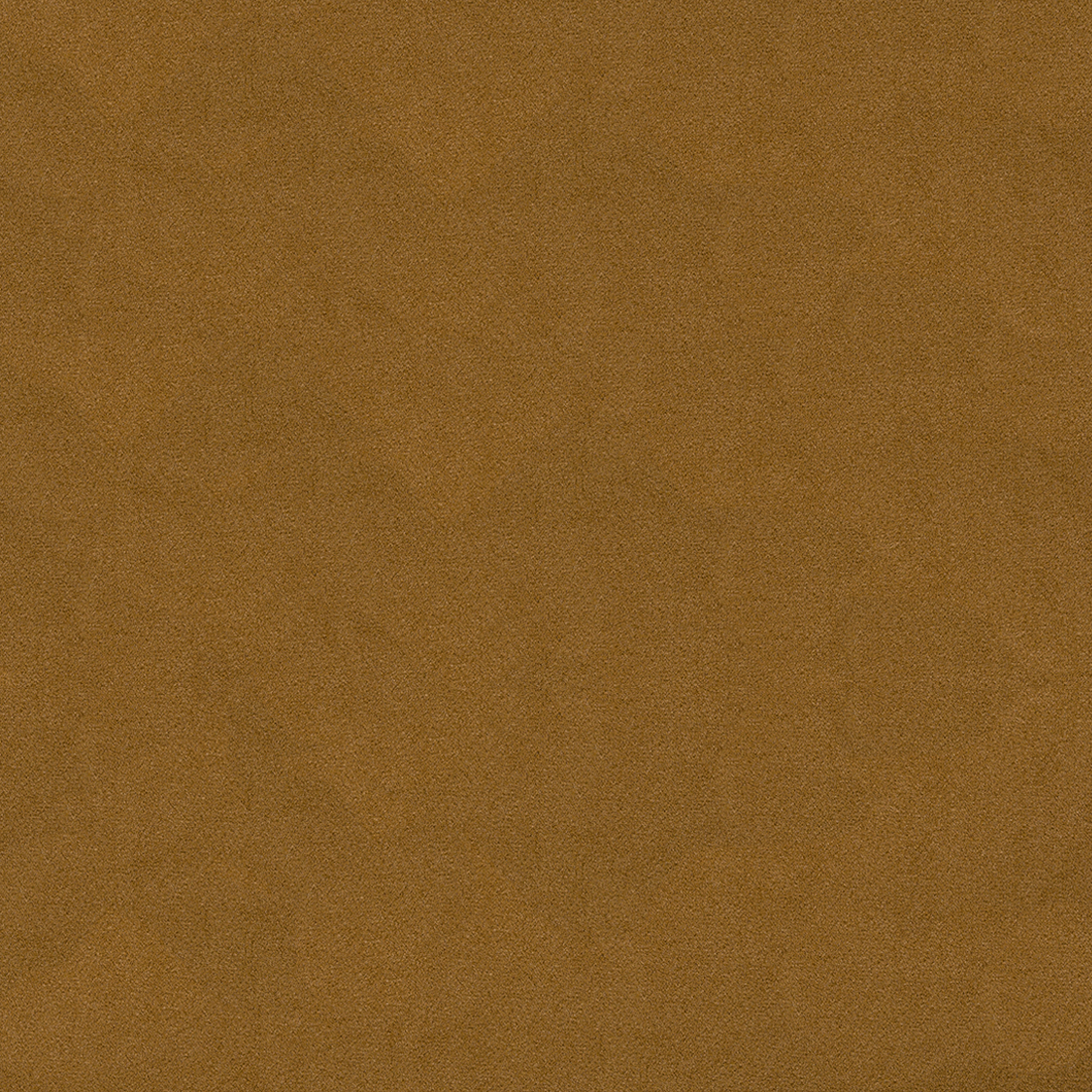10 Mustard.png