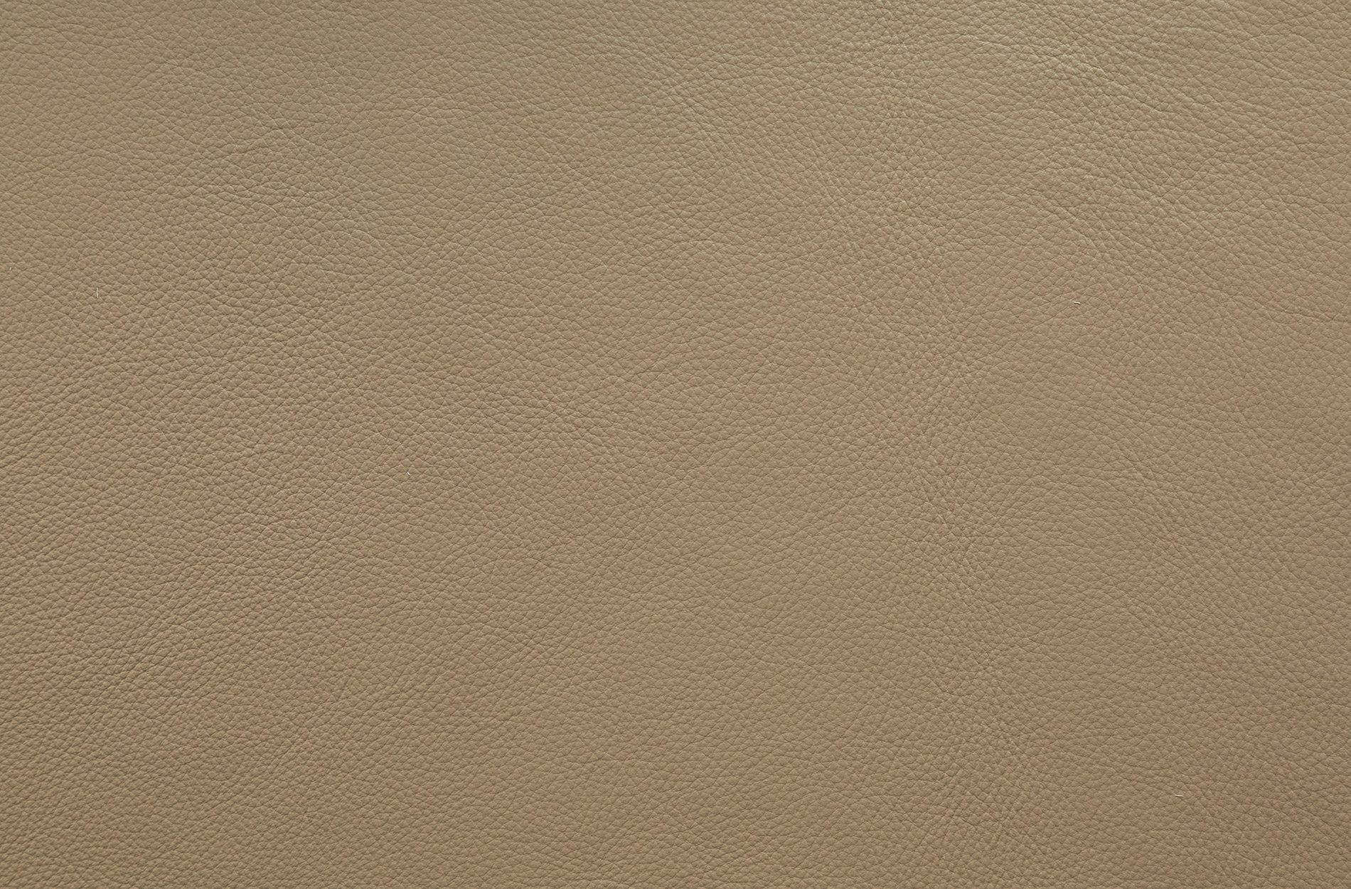 joker-taupe-OKweb.jpg