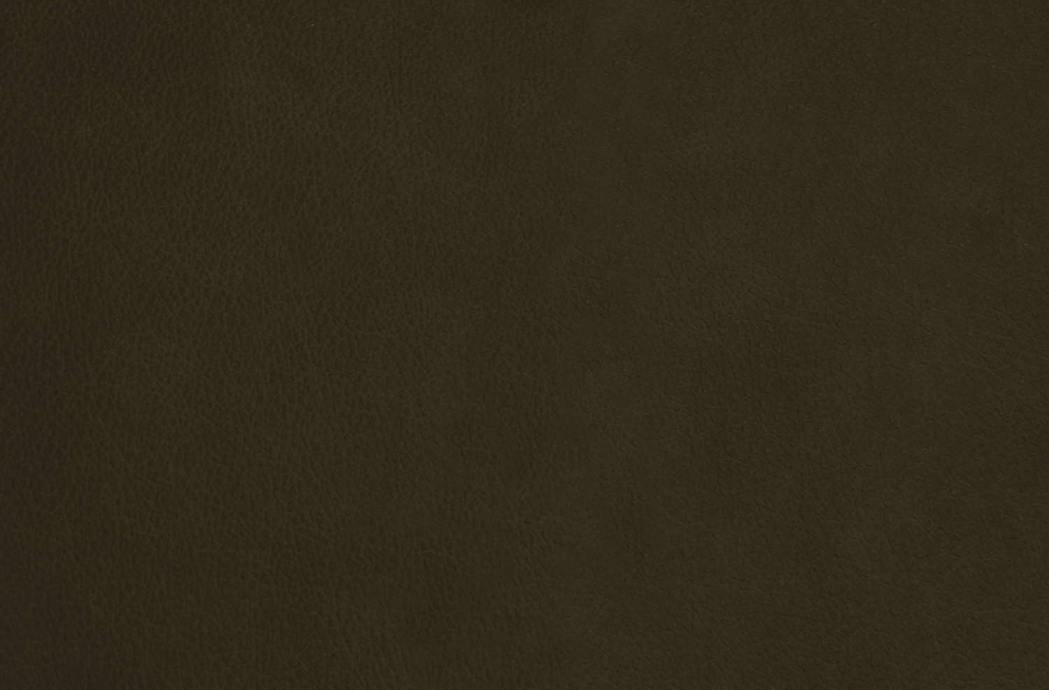 musgo.png