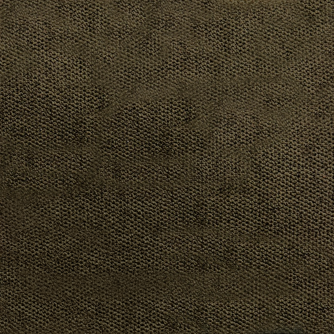 11 Winter Moss.png