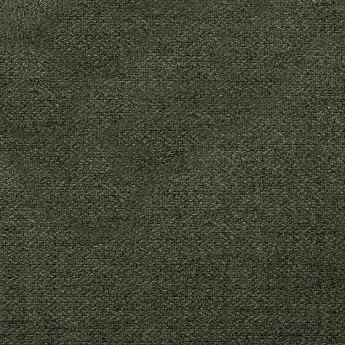 foster 12 winter moss.png