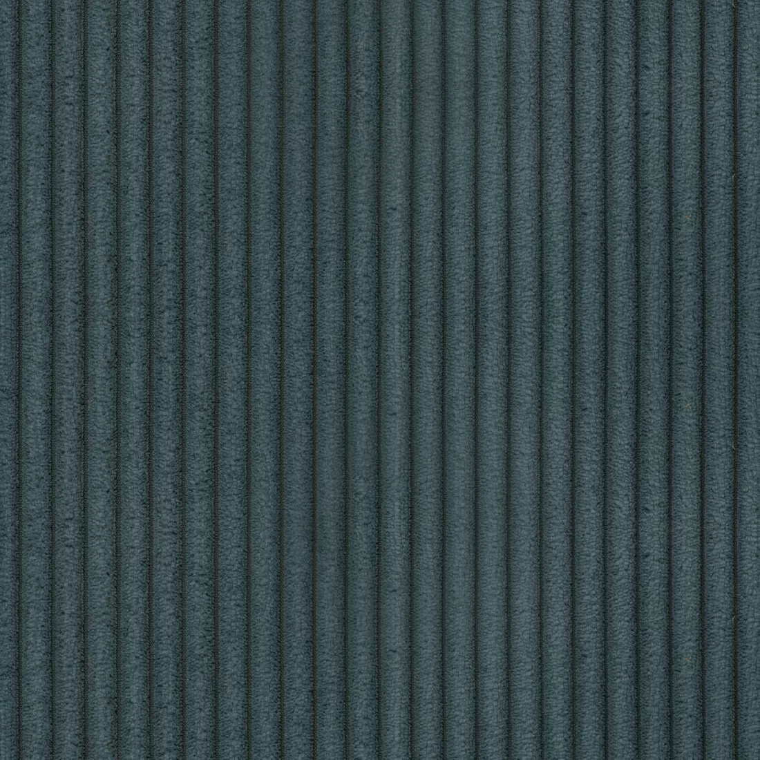 Zoom 12.png