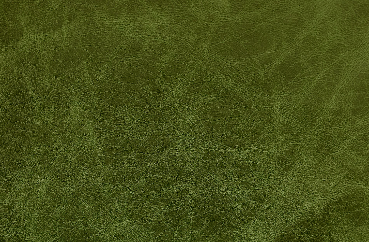 American Vintage Laurel.png