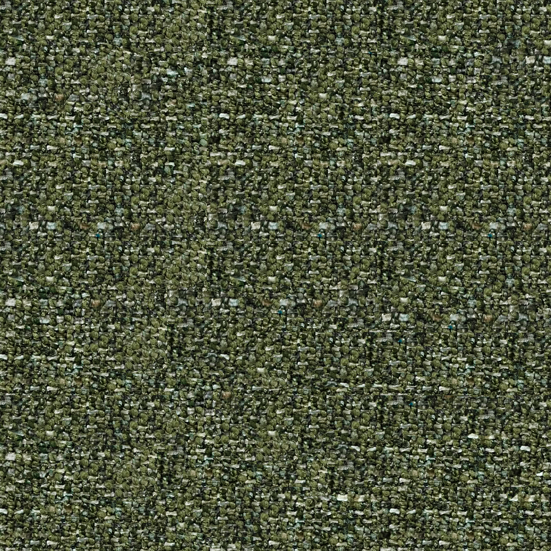 12 OLIVE TREE.png