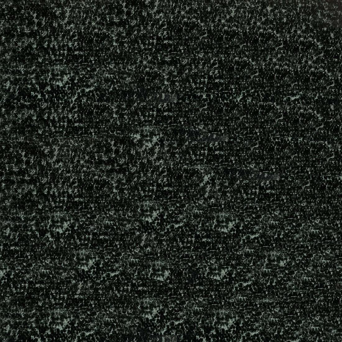 12 Rain Forest.png