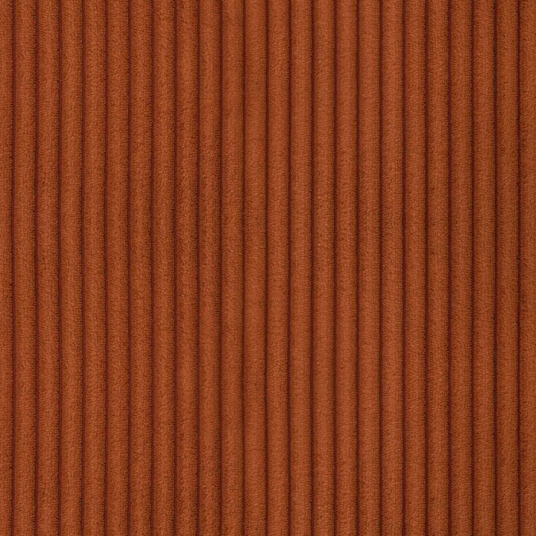 Zoom 8.png