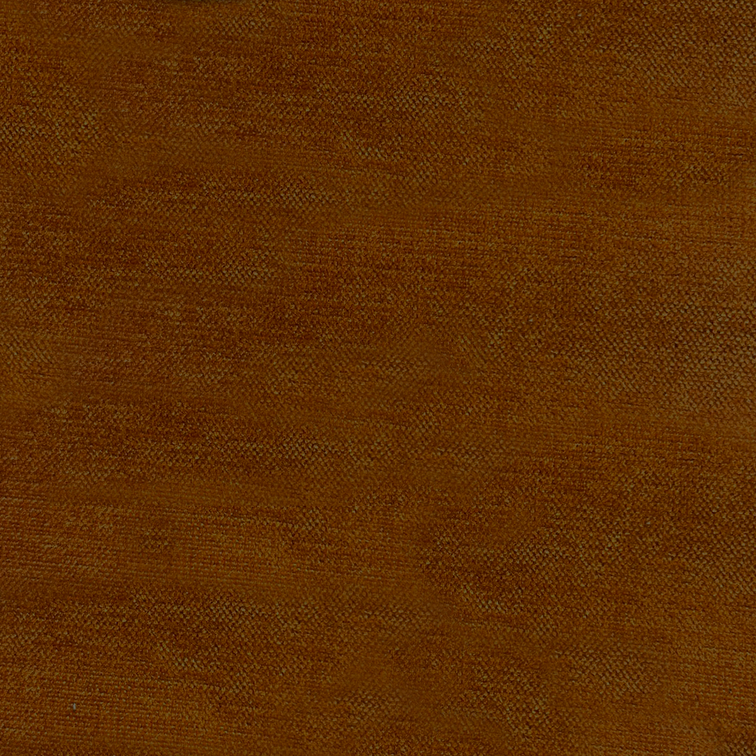 12 Apricot Orange.png