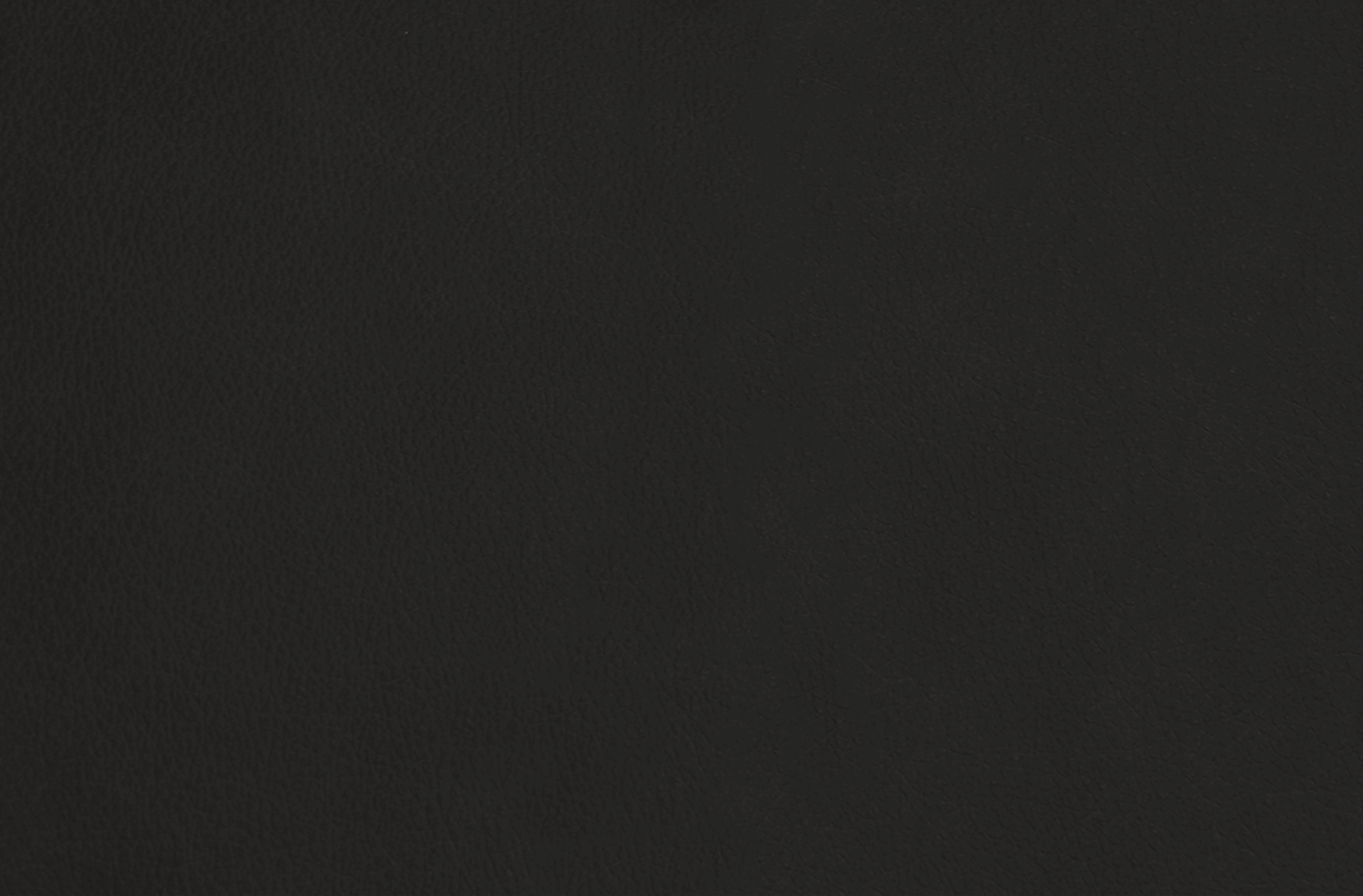 negro.png