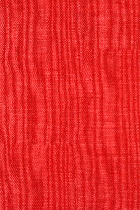 Cactus Rust 012 - Mariano Farrugia Textiles