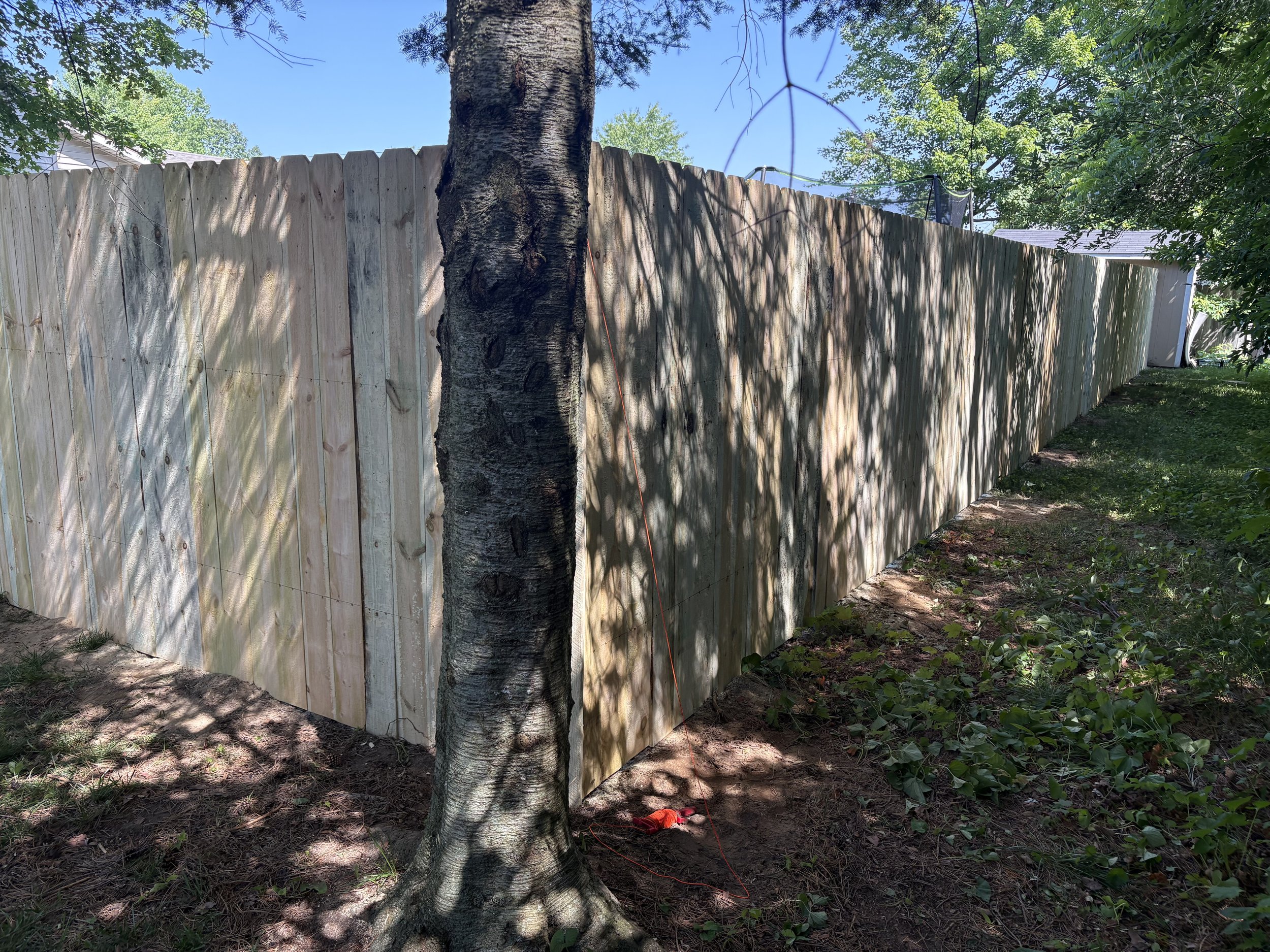 A newly installed wooden fence in a backyard with a tree in the foreground and shadows cast by nearby branches.