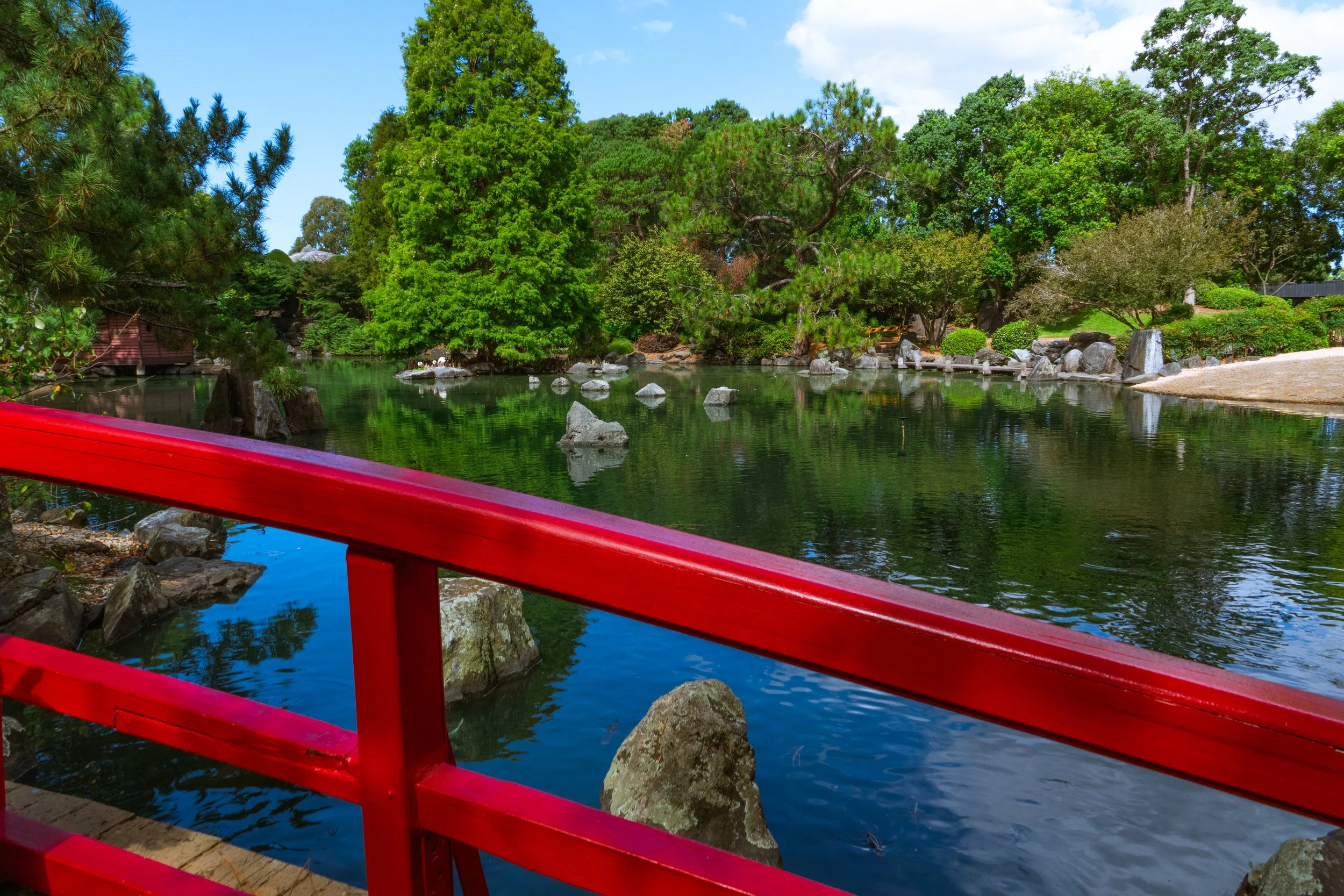 auburn garden-22.jpg