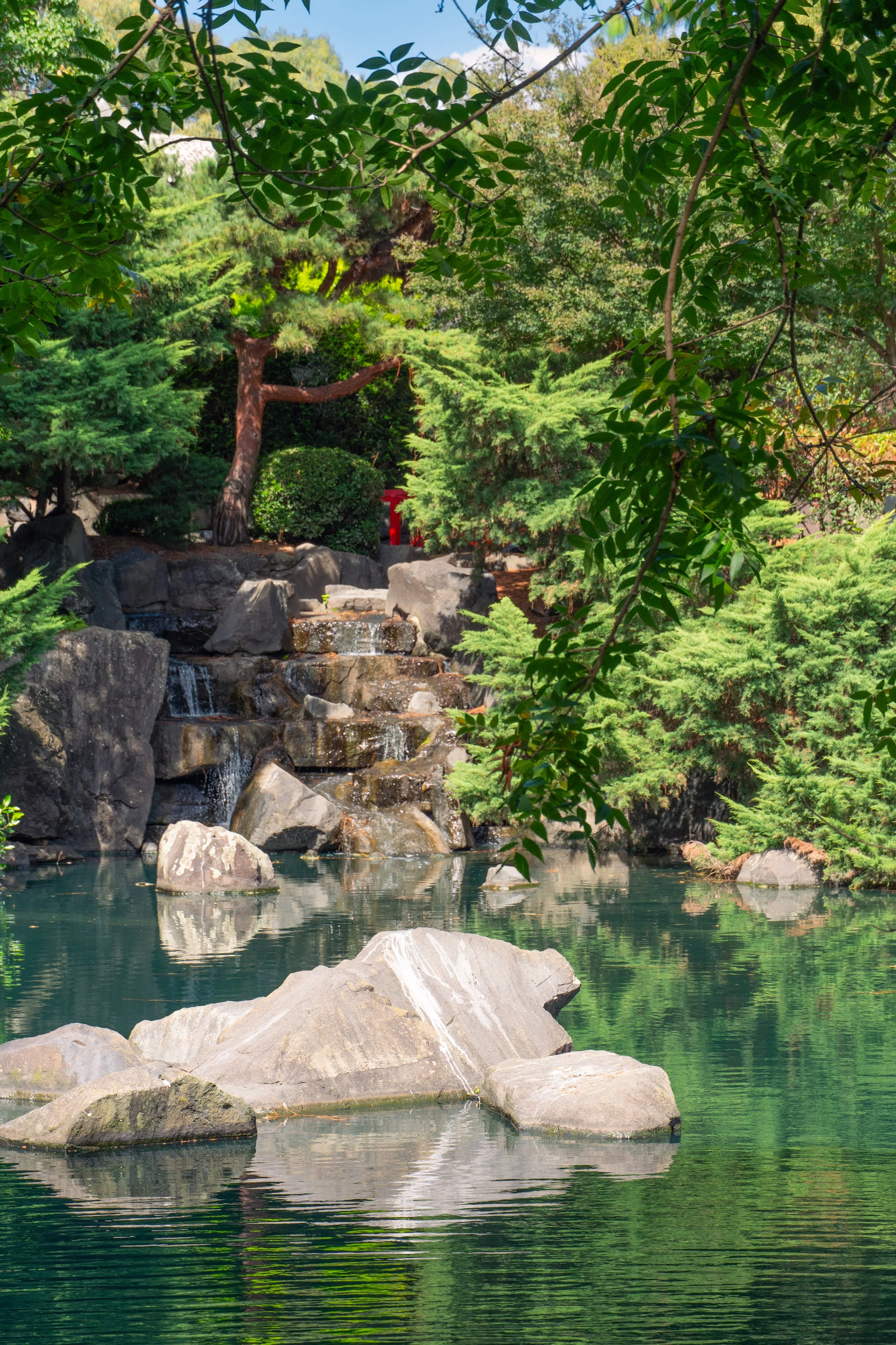 auburn garden-20.jpg