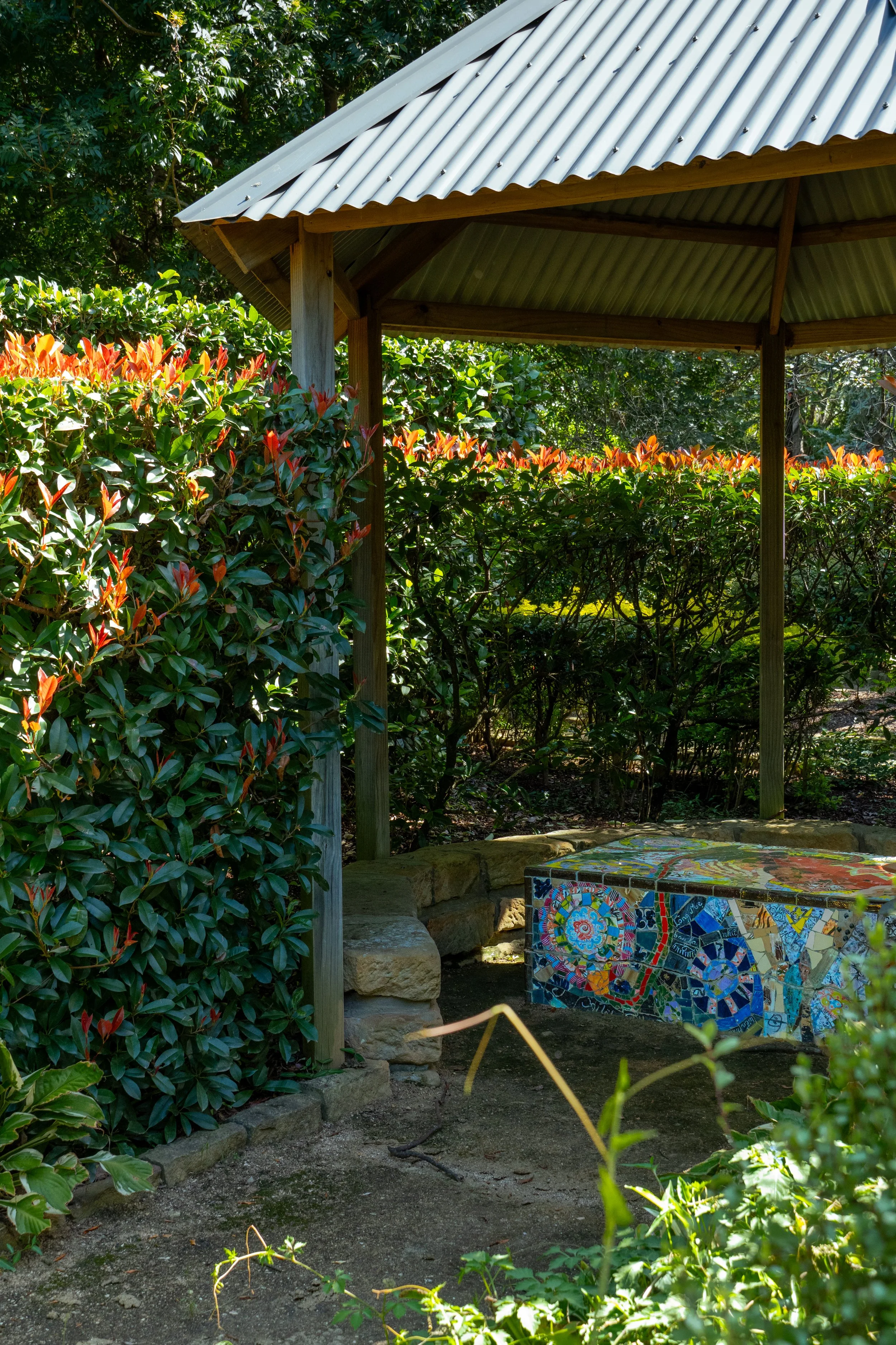 auburn garden-13.jpg