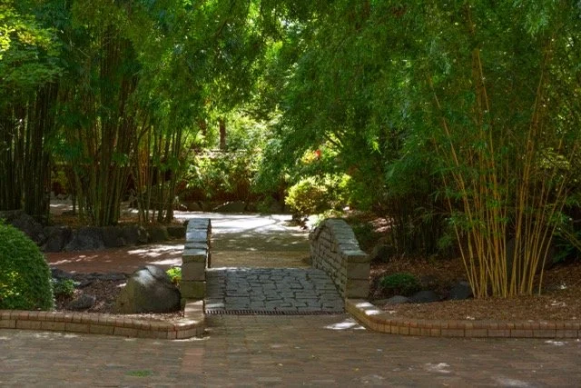 auburn garden-17 Medium.jpeg