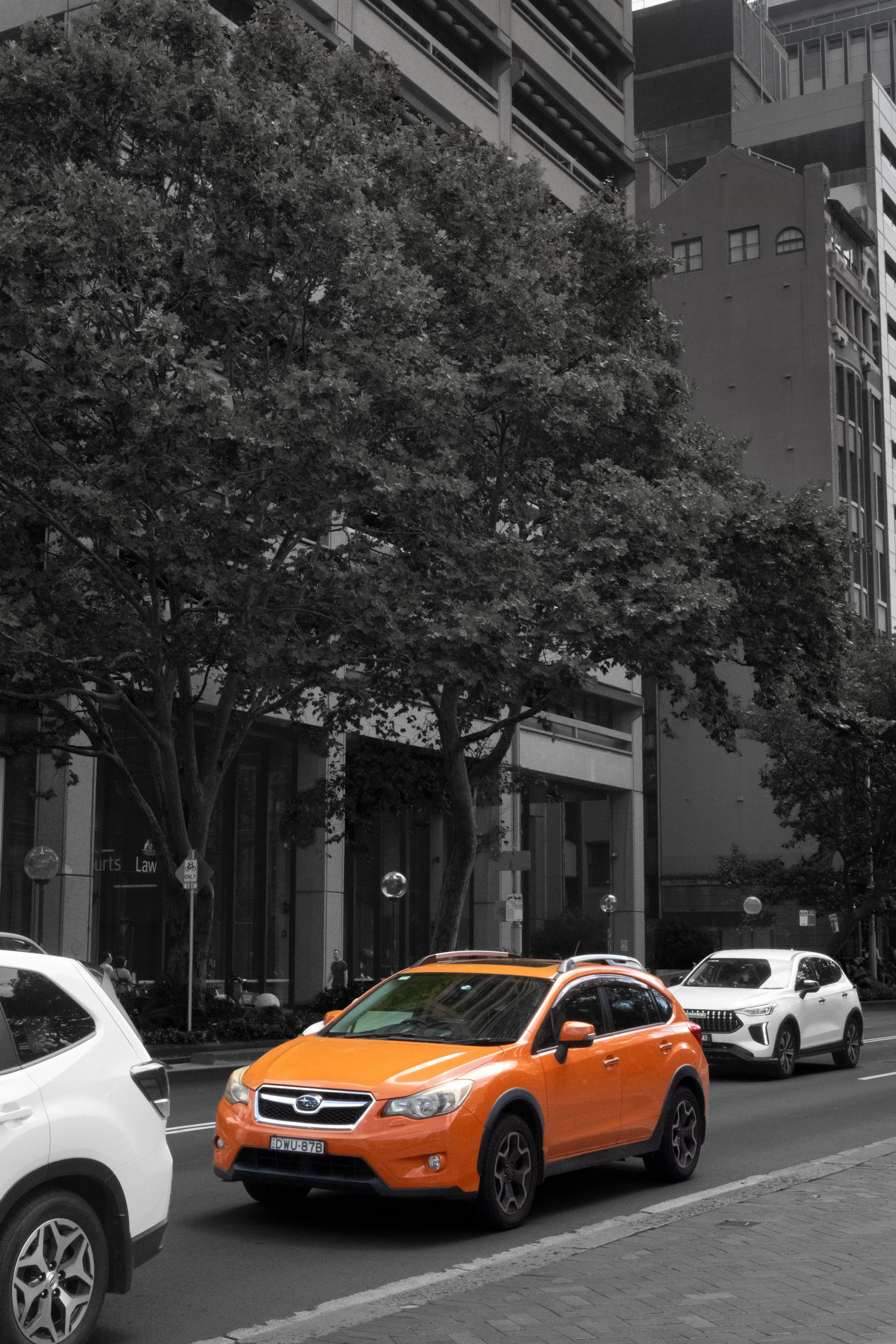 color walk full-6.jpg