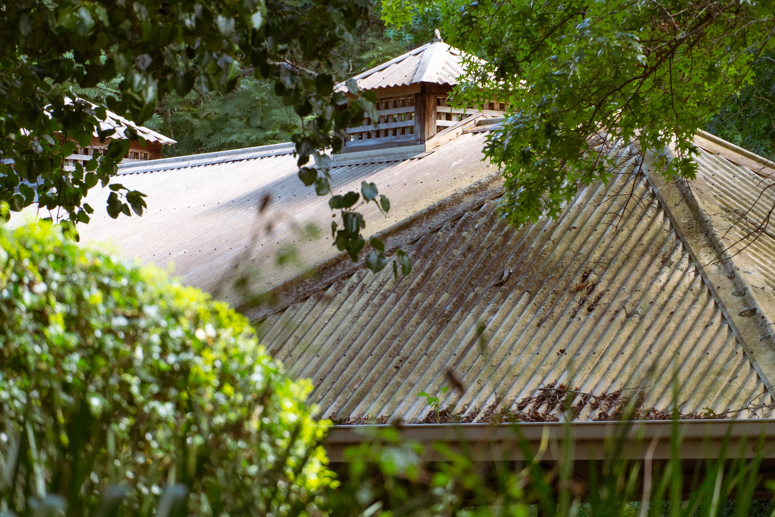 auburn garden-12.jpg