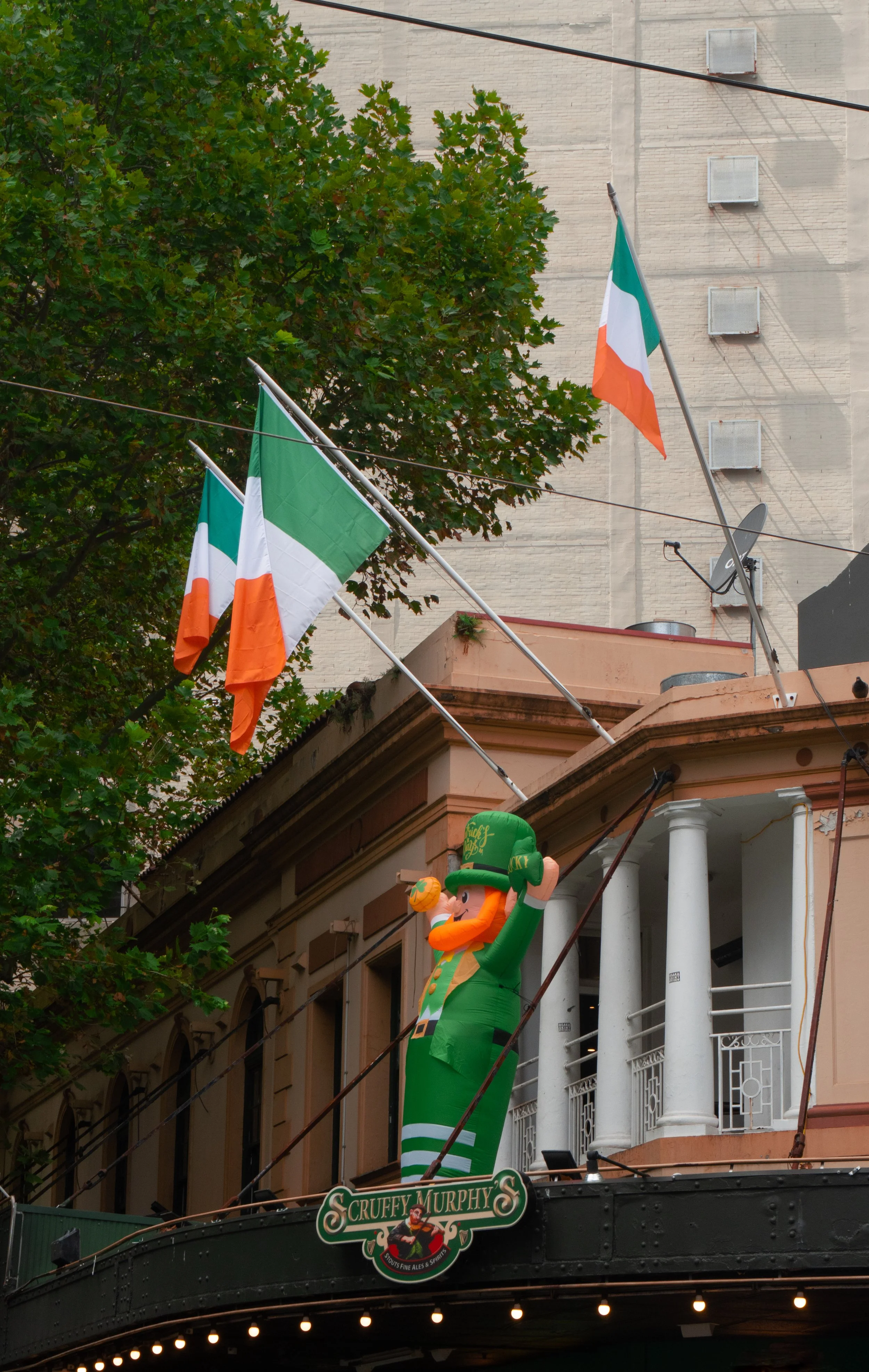 color walk full-13.jpg