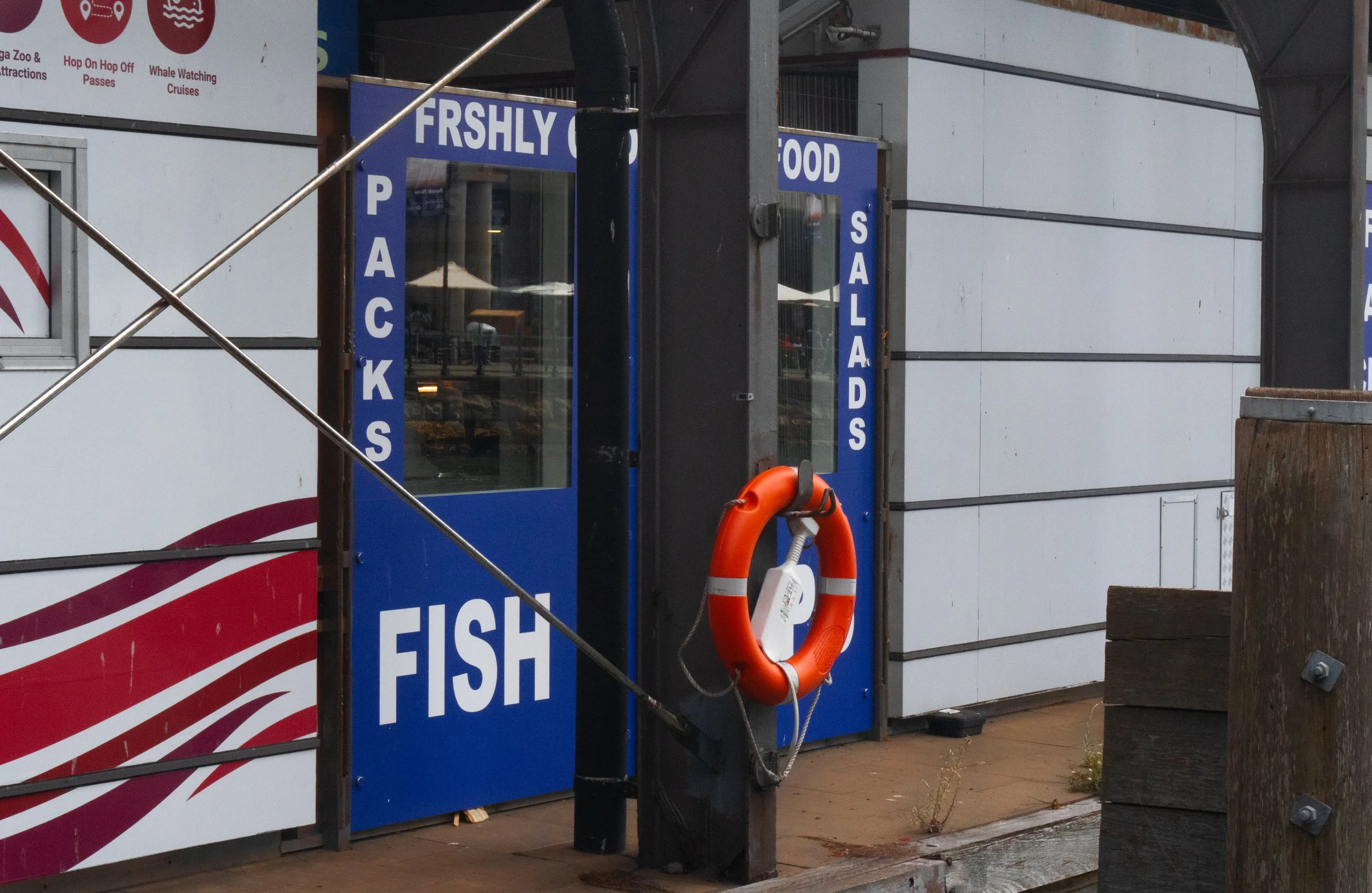 color walk full-11.jpg