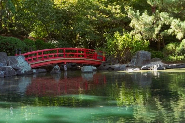 auburn garden-6 Medium.jpeg