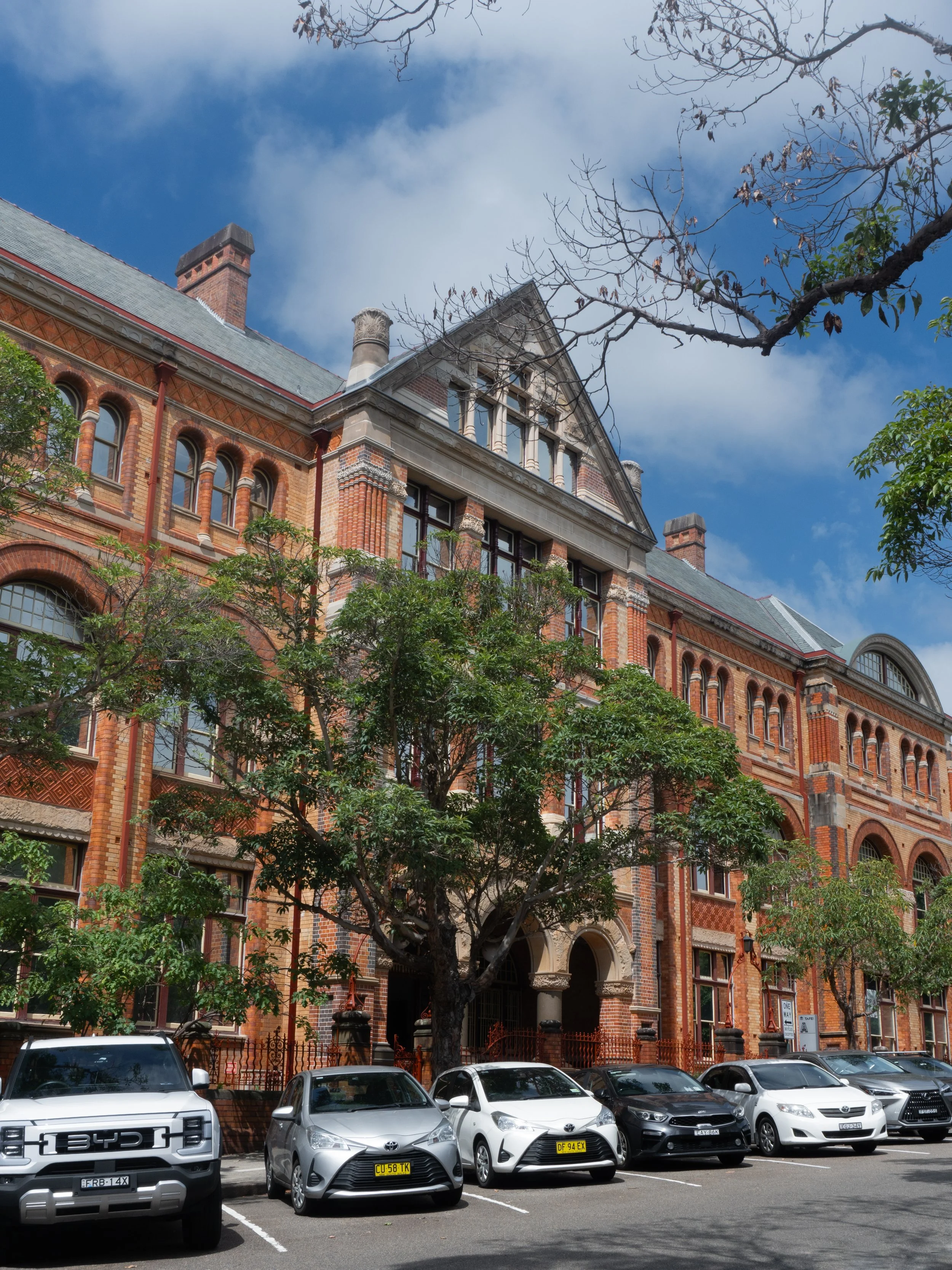 color walk full-2.jpg