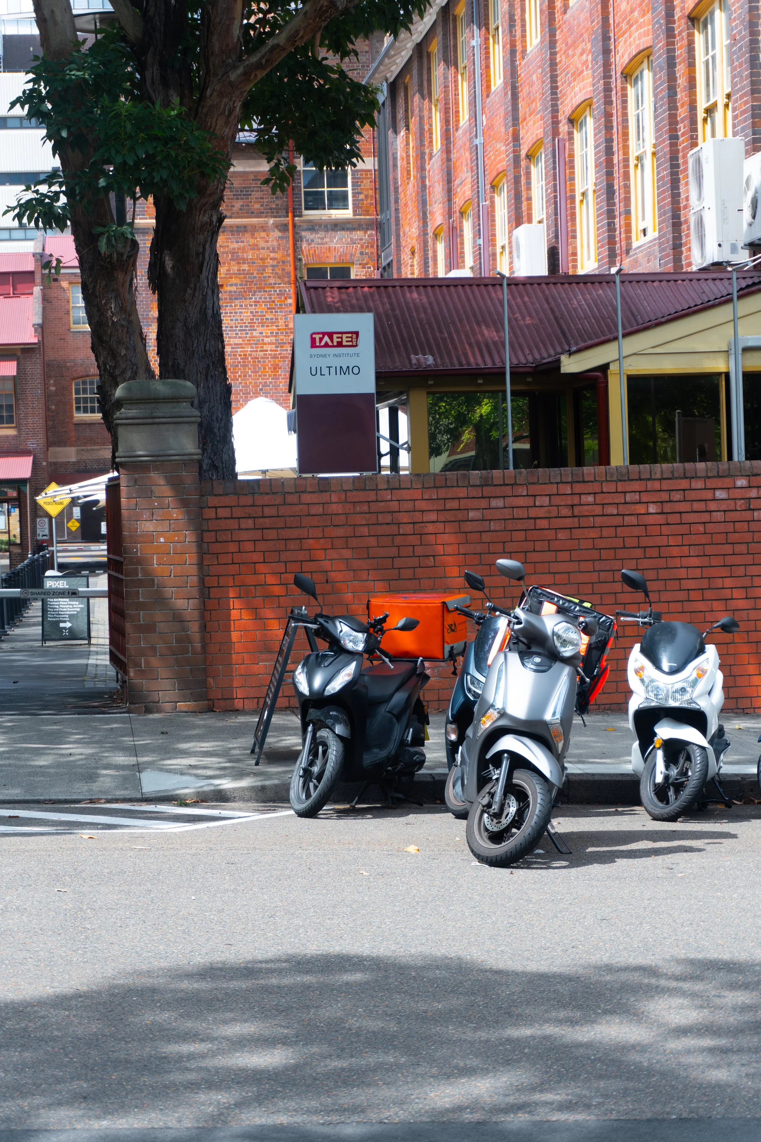 color walk full-1.jpg