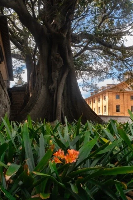 color walk full-7 Medium.jpeg