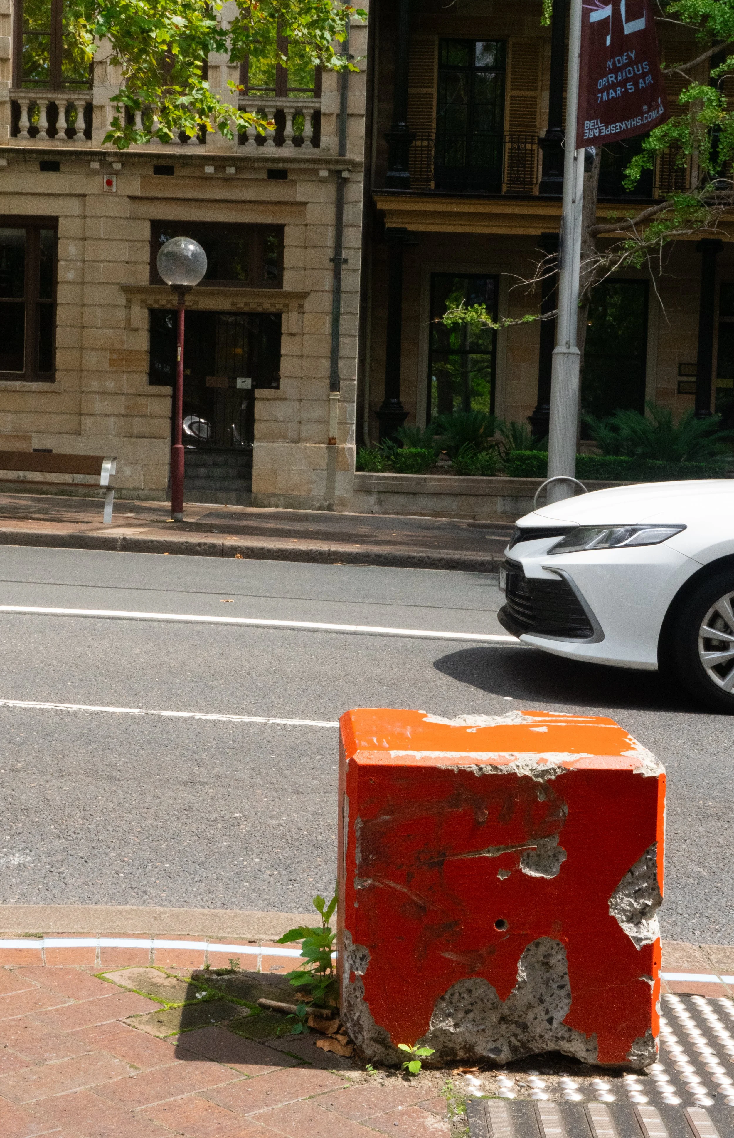 color walk full-10.jpg