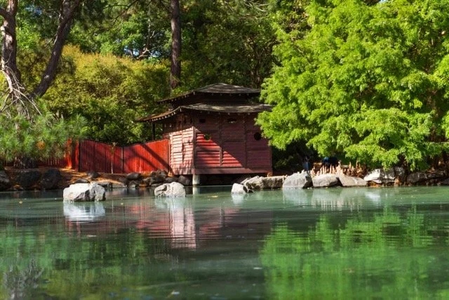 auburn garden-8 Medium.jpeg