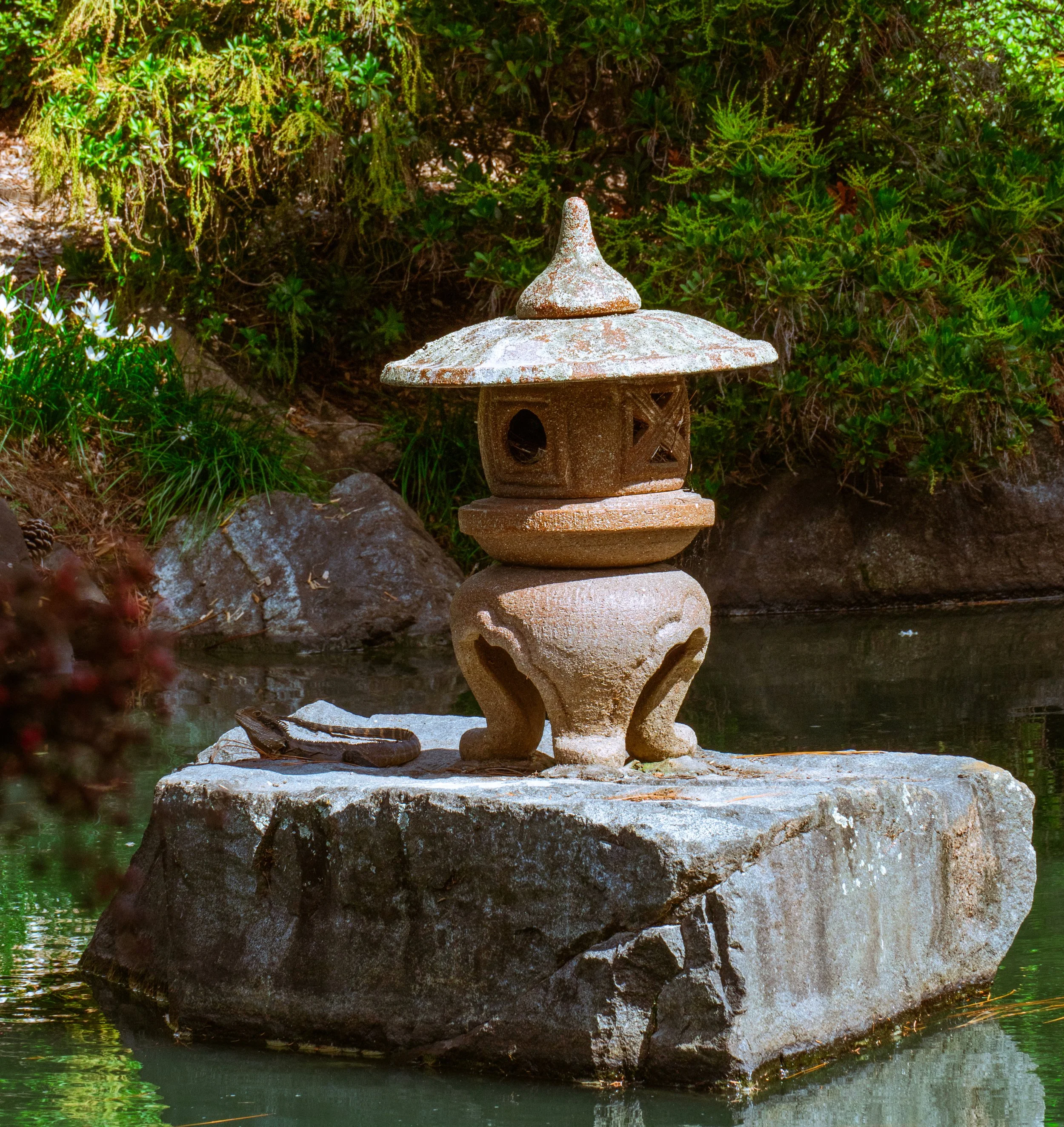 auburn garden-19.jpg