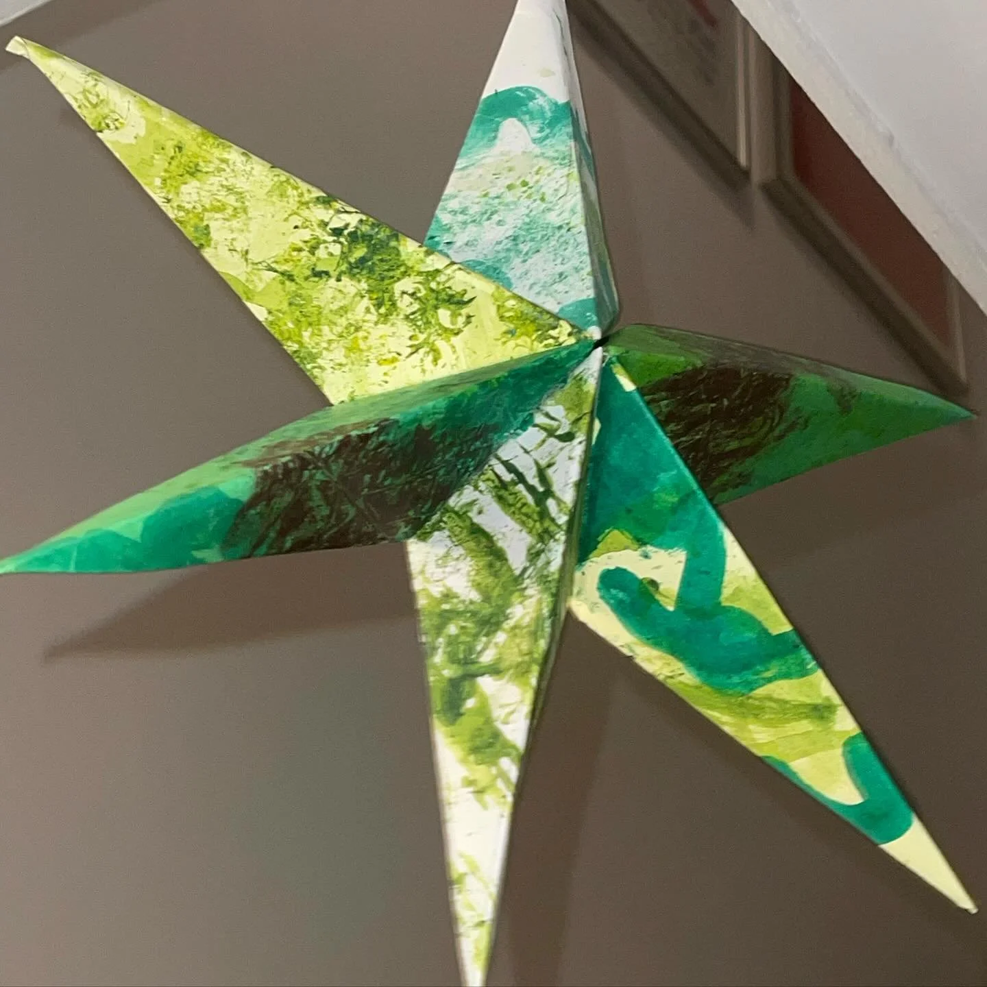 Origami Star Experiment, 29cm (h) x 27cm (w), each section of the star has been printed with dried foliage taken from the natural world as an experiment into how nature can best be represented materially.
