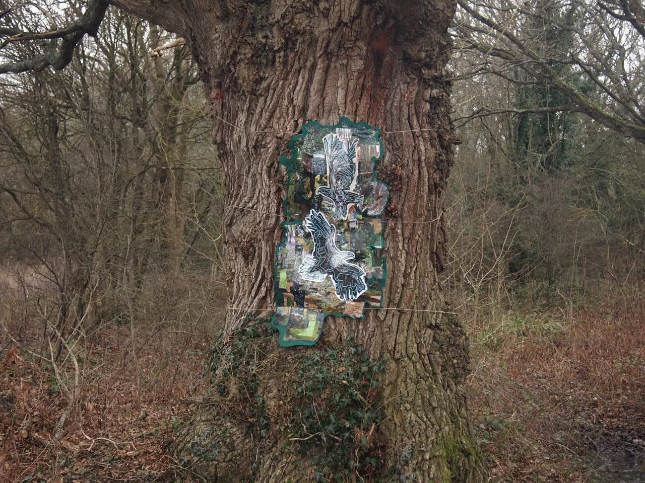 The Fading Dawn Chorus Work 2 Photo 1