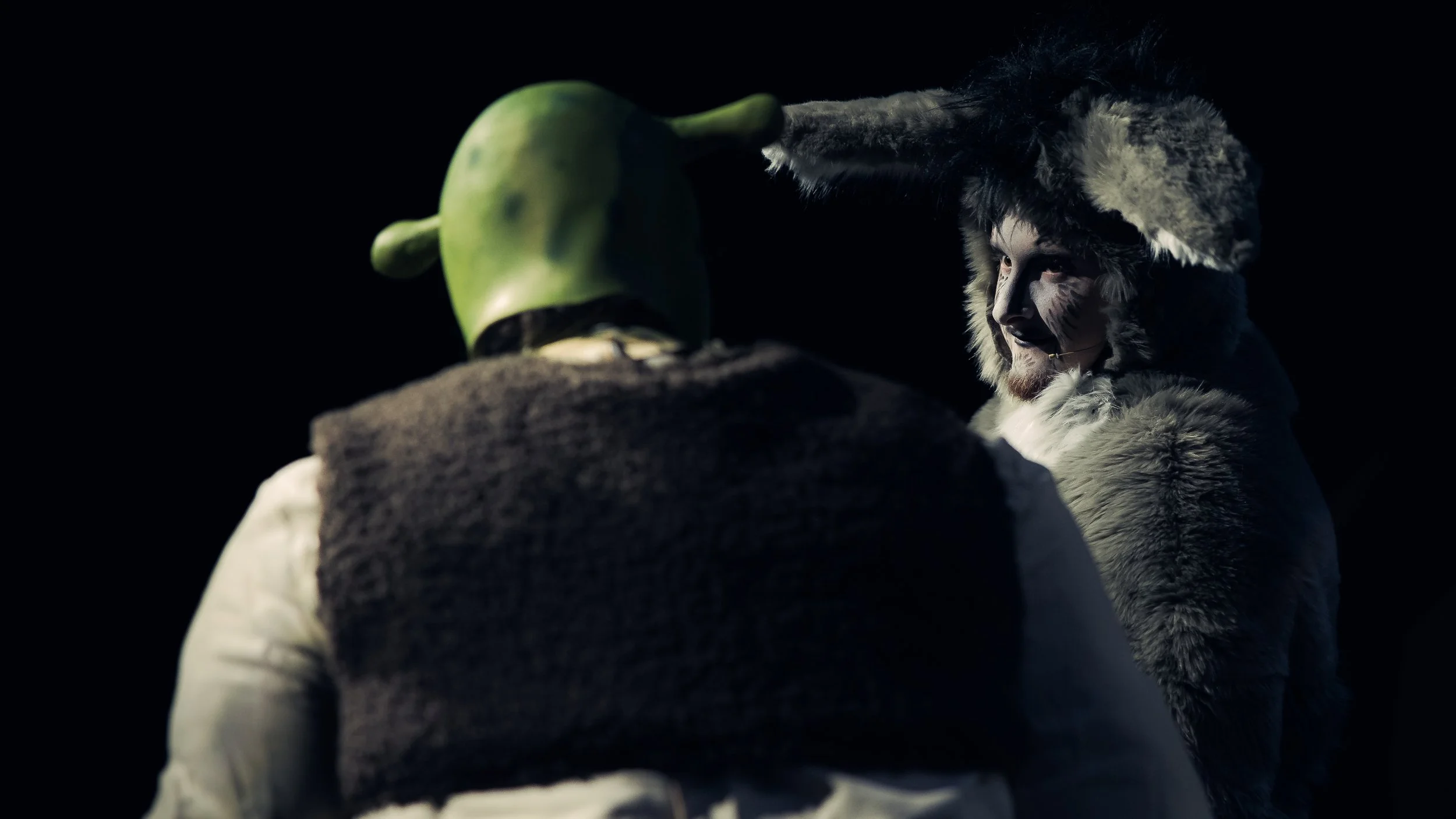 Shrek and Donkey facing each other on stage.