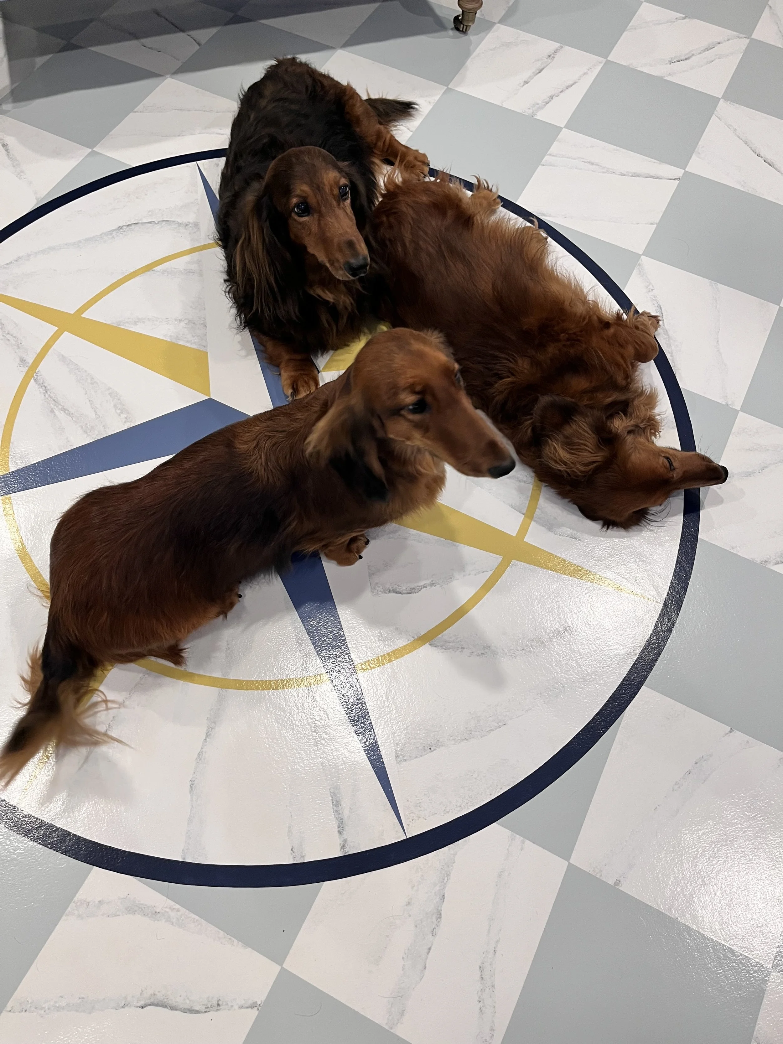 Private Commission Cape Cod