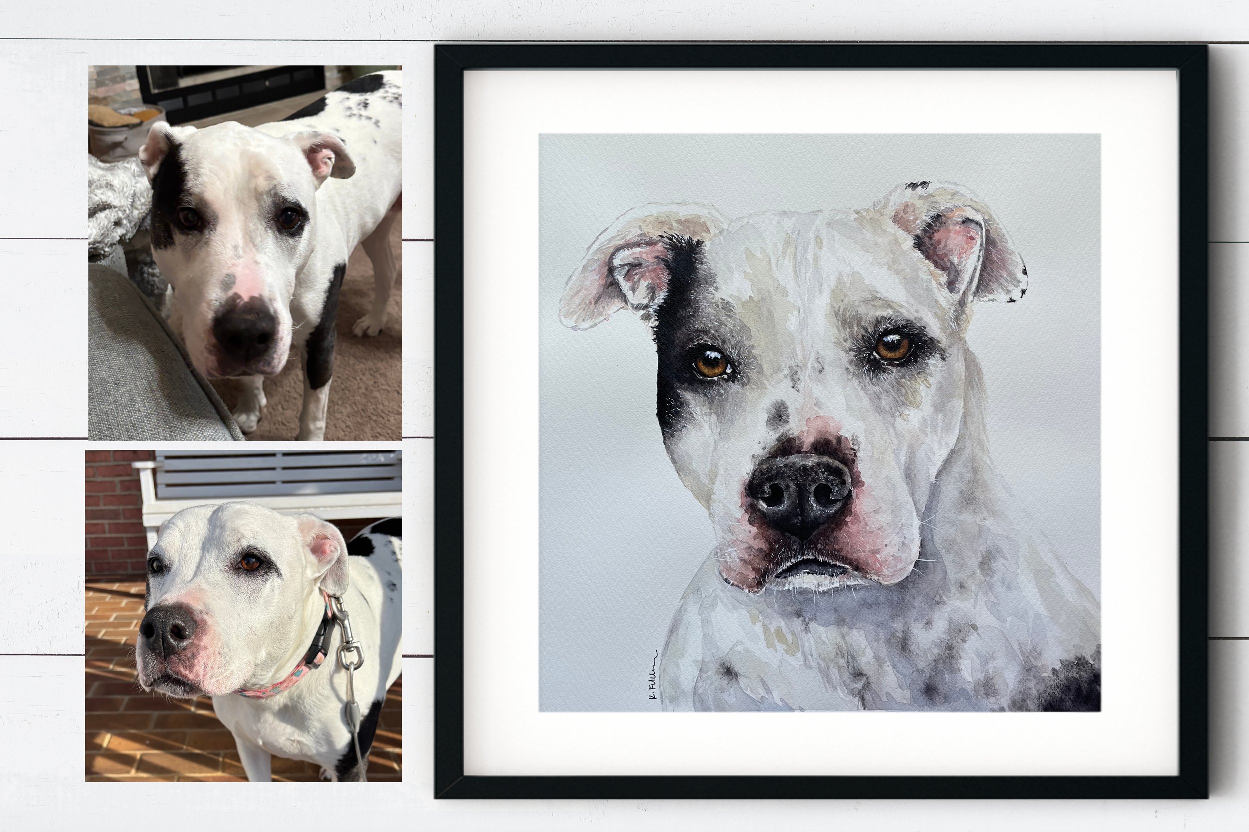 PP_pit.nugget BA.jpg