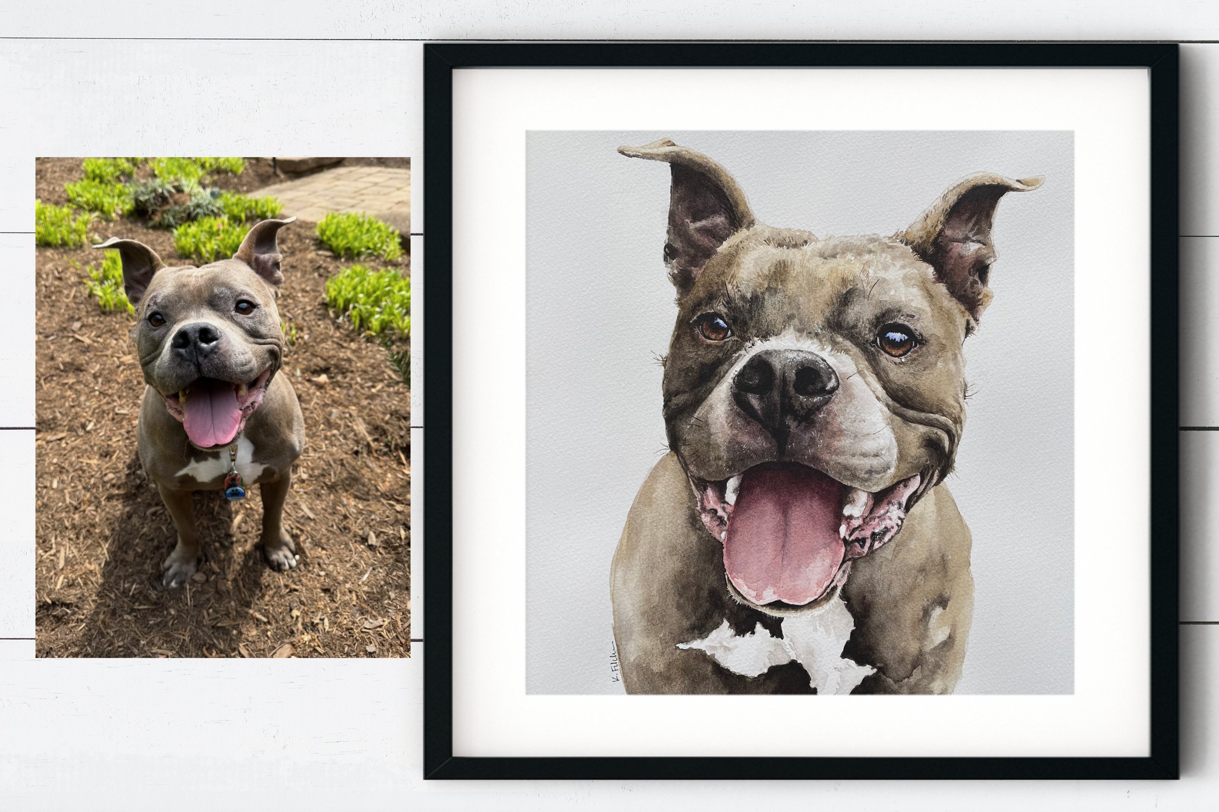 PP_pit.eeyore BA.jpg