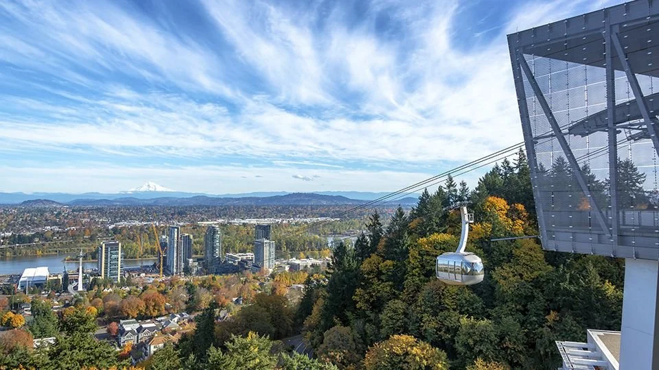 The Relocation Checklist for New OHSU Physicians