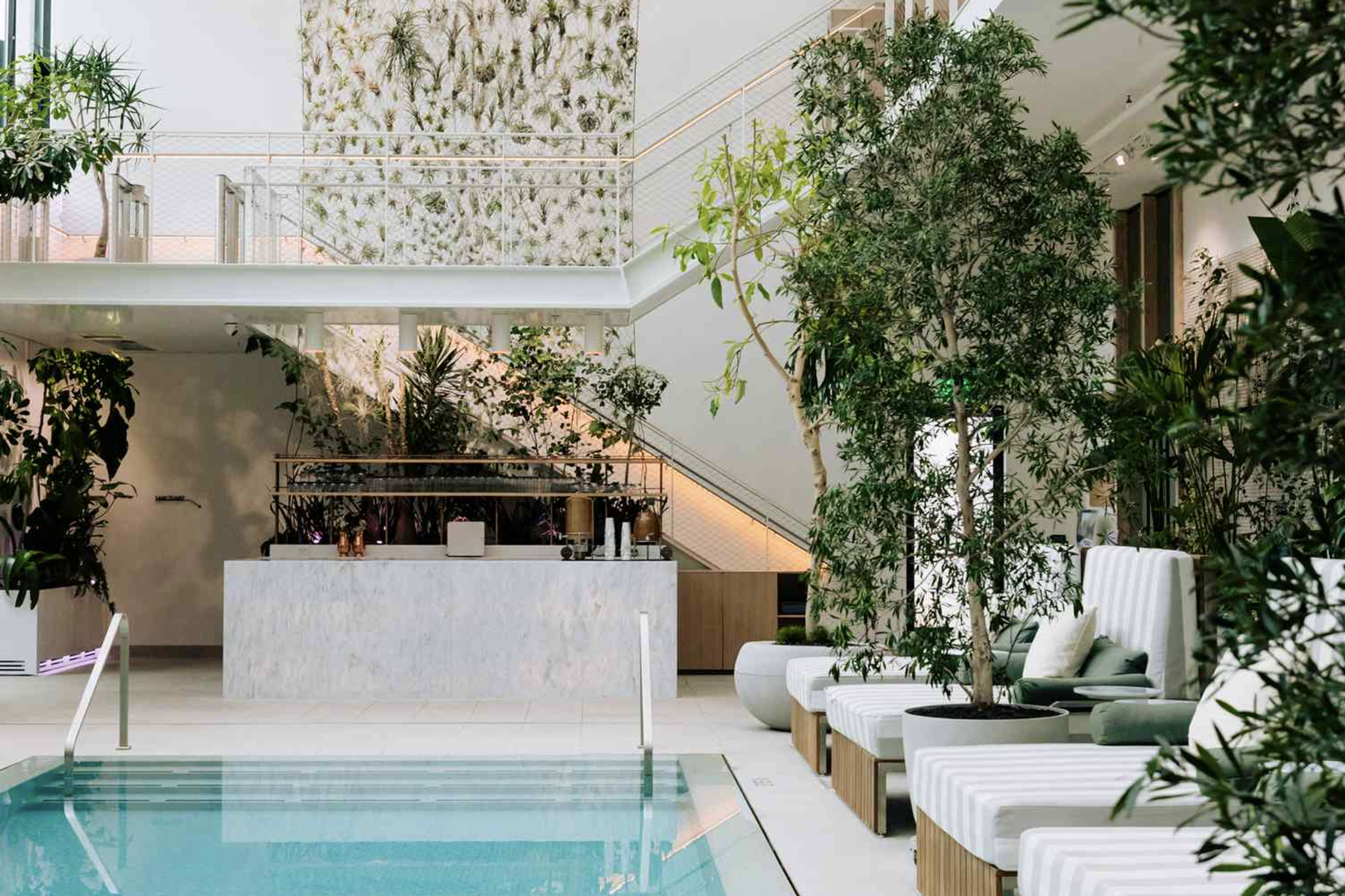 Why Portland Is the Ultimate Wellness Destination for Healthcare Professionals