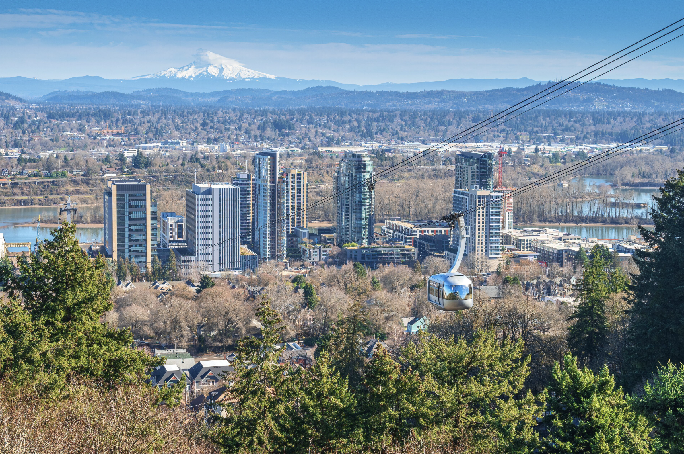 The Physician’s Guide to South Portland Neighborhoods