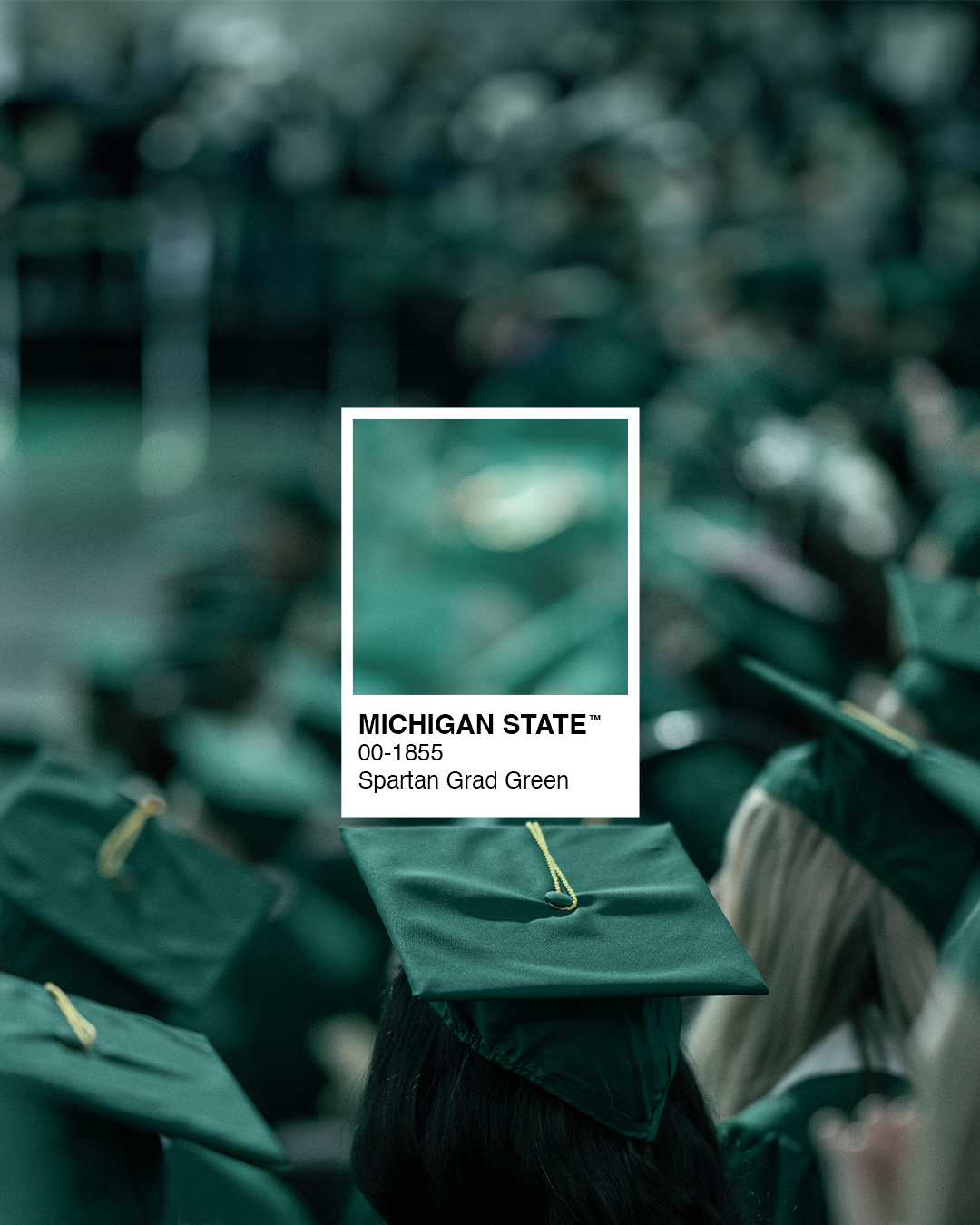 Graduation.png
