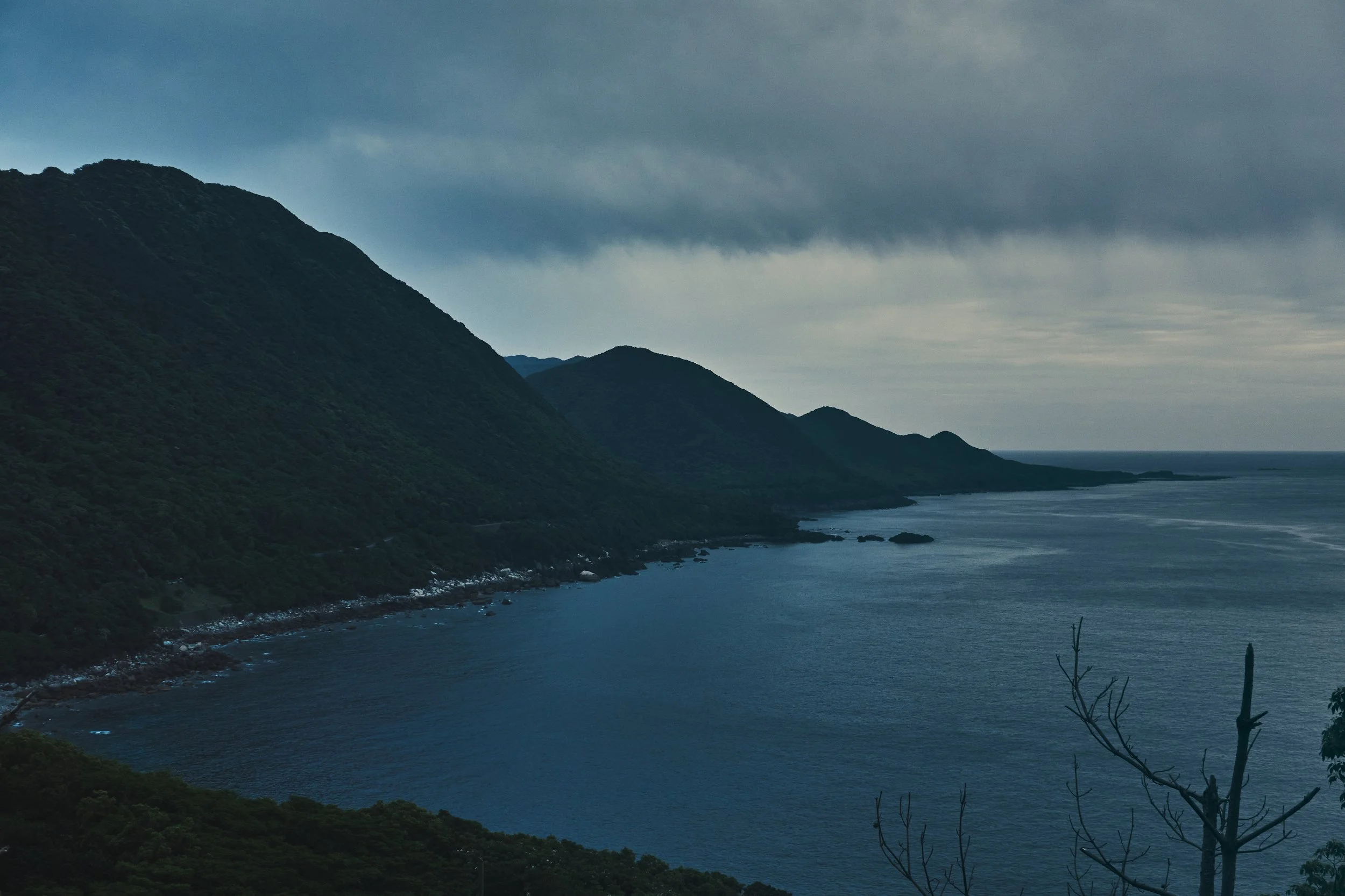yakushima.jpg