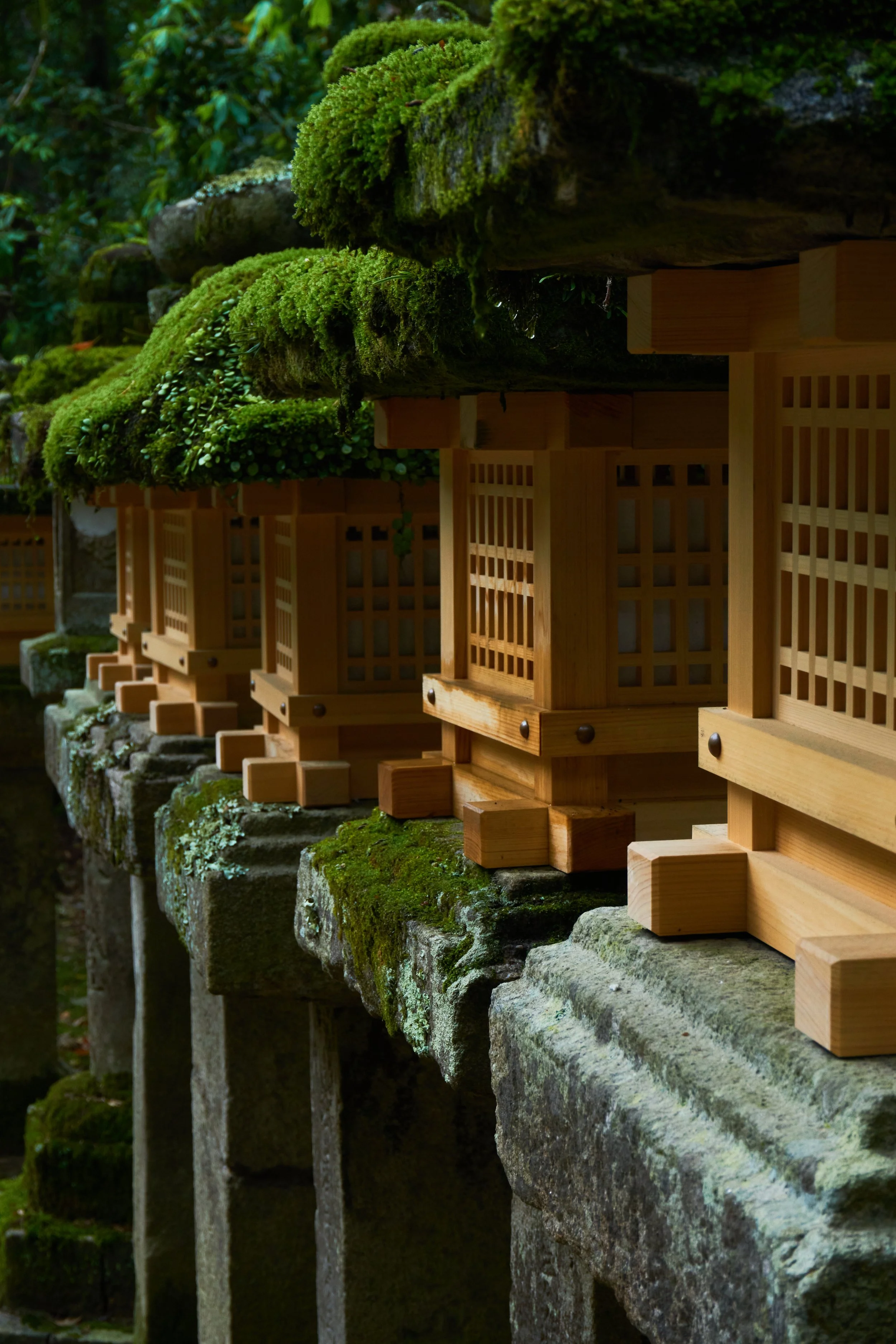 Row of traditional Japanese lanterns with moss-covered stone bases in a forest setting.