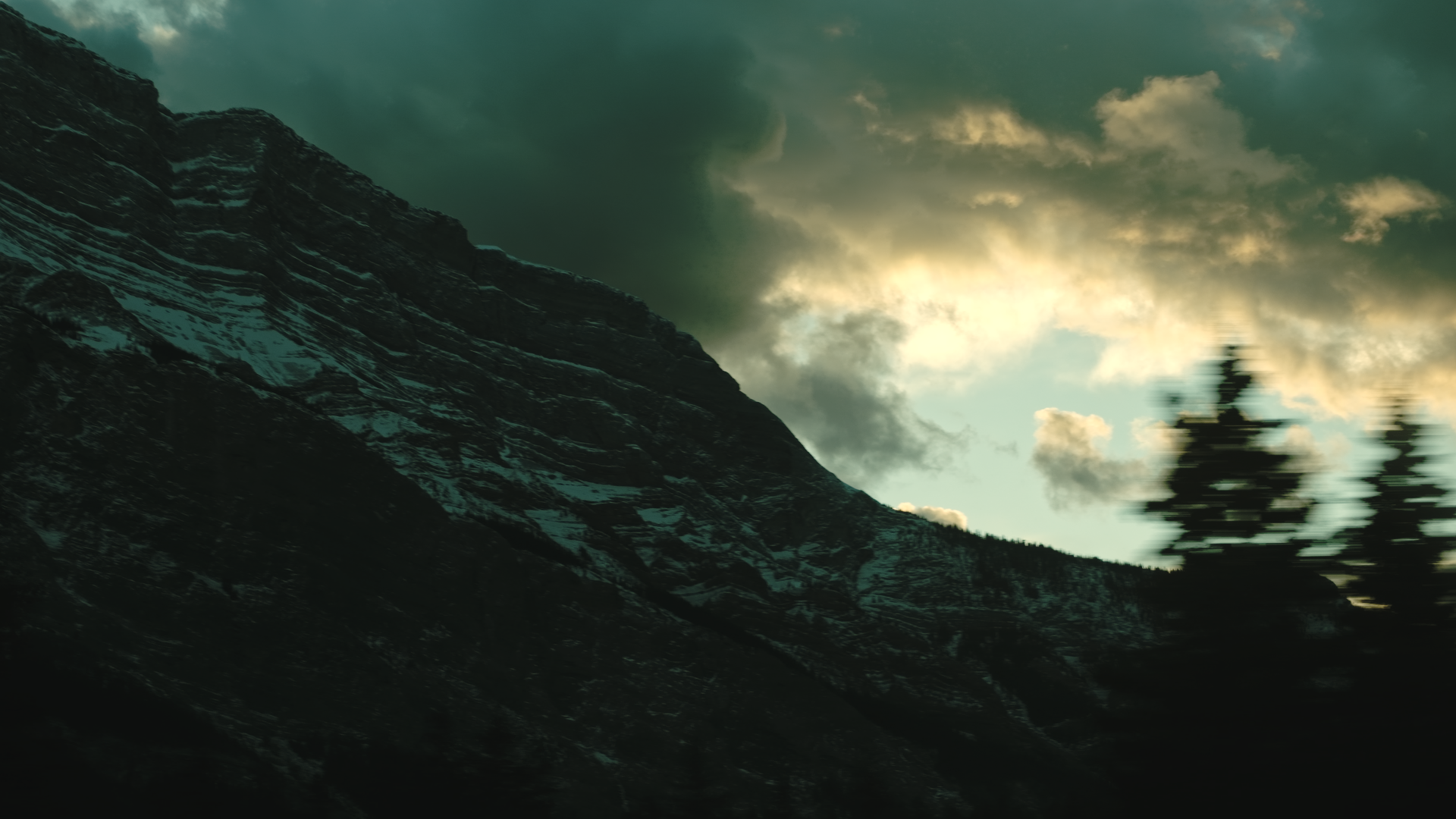 A modern house elevated on stilts among lush green trees and plants in a forest setting.