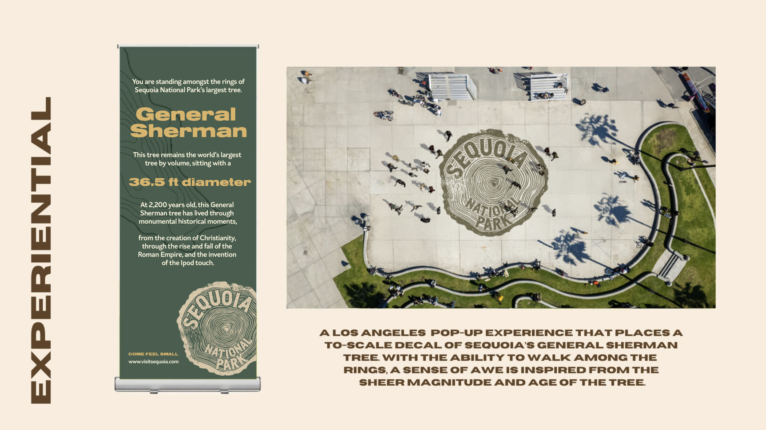 Screenshot 2025-01-02 at 10.57.26 PM.png