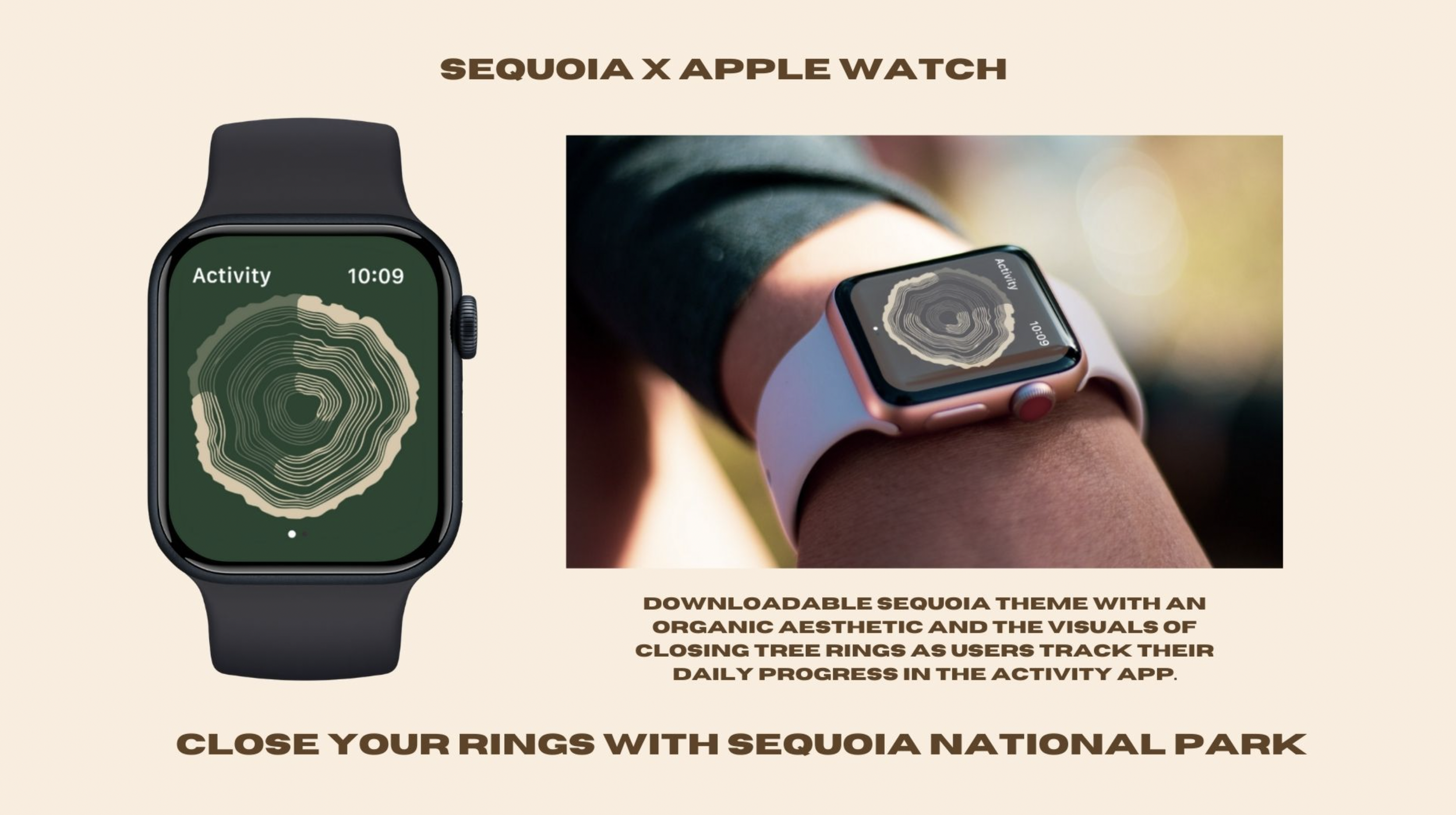 Screenshot 2025-01-02 at 10.53.59 PM.png