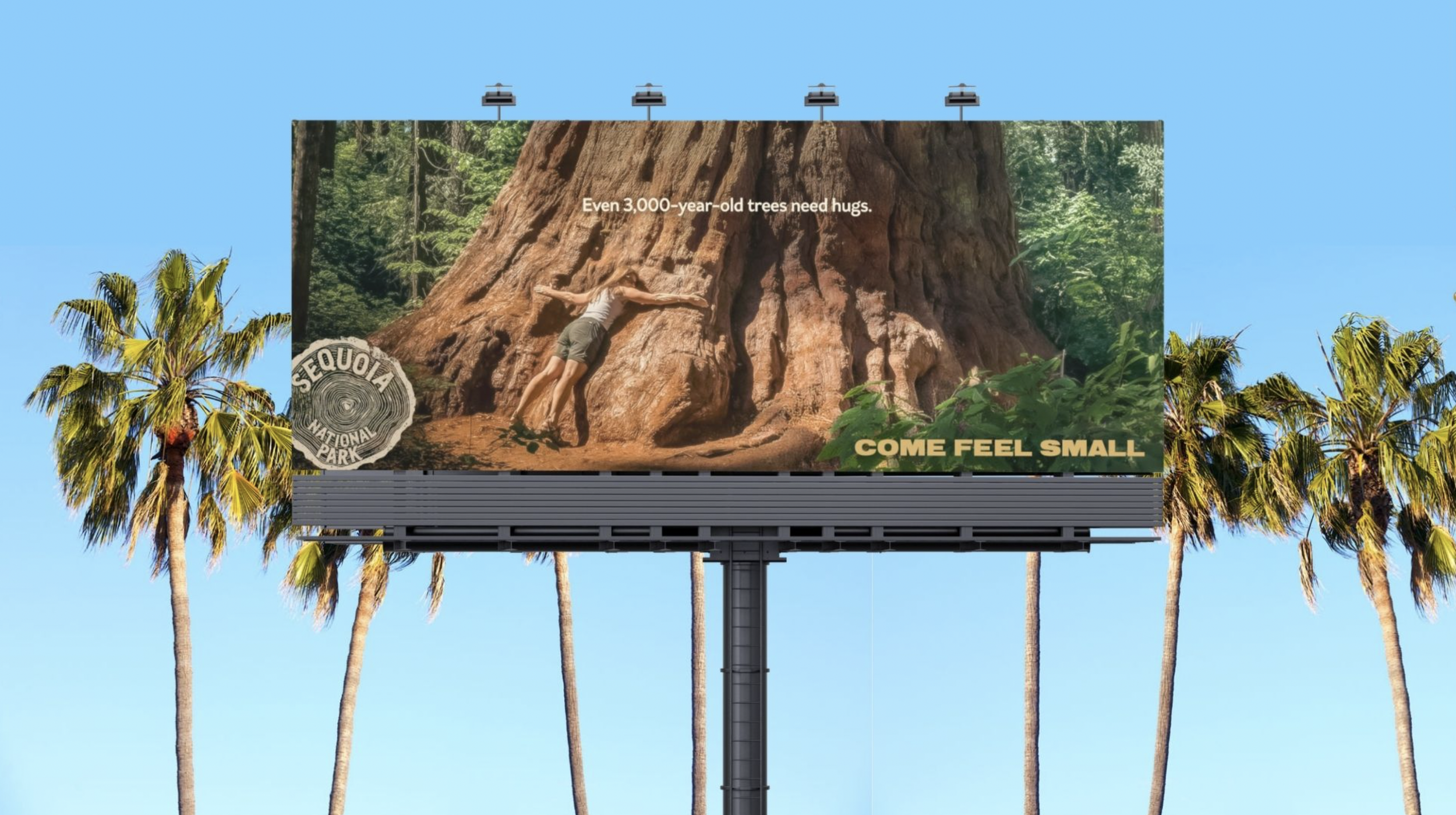 Screenshot 2025-01-02 at 10.47.01 PM.png