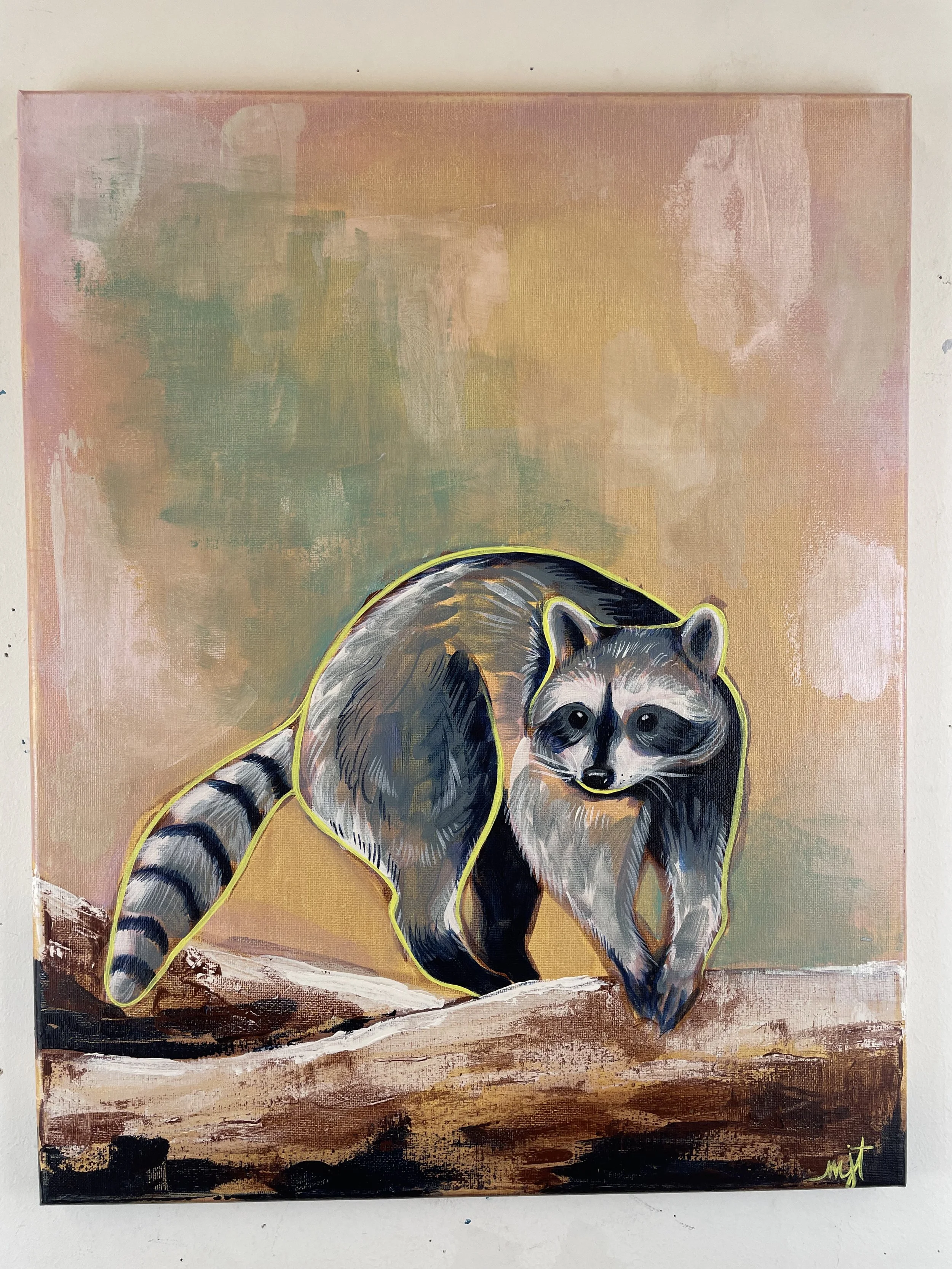 One Raccoon